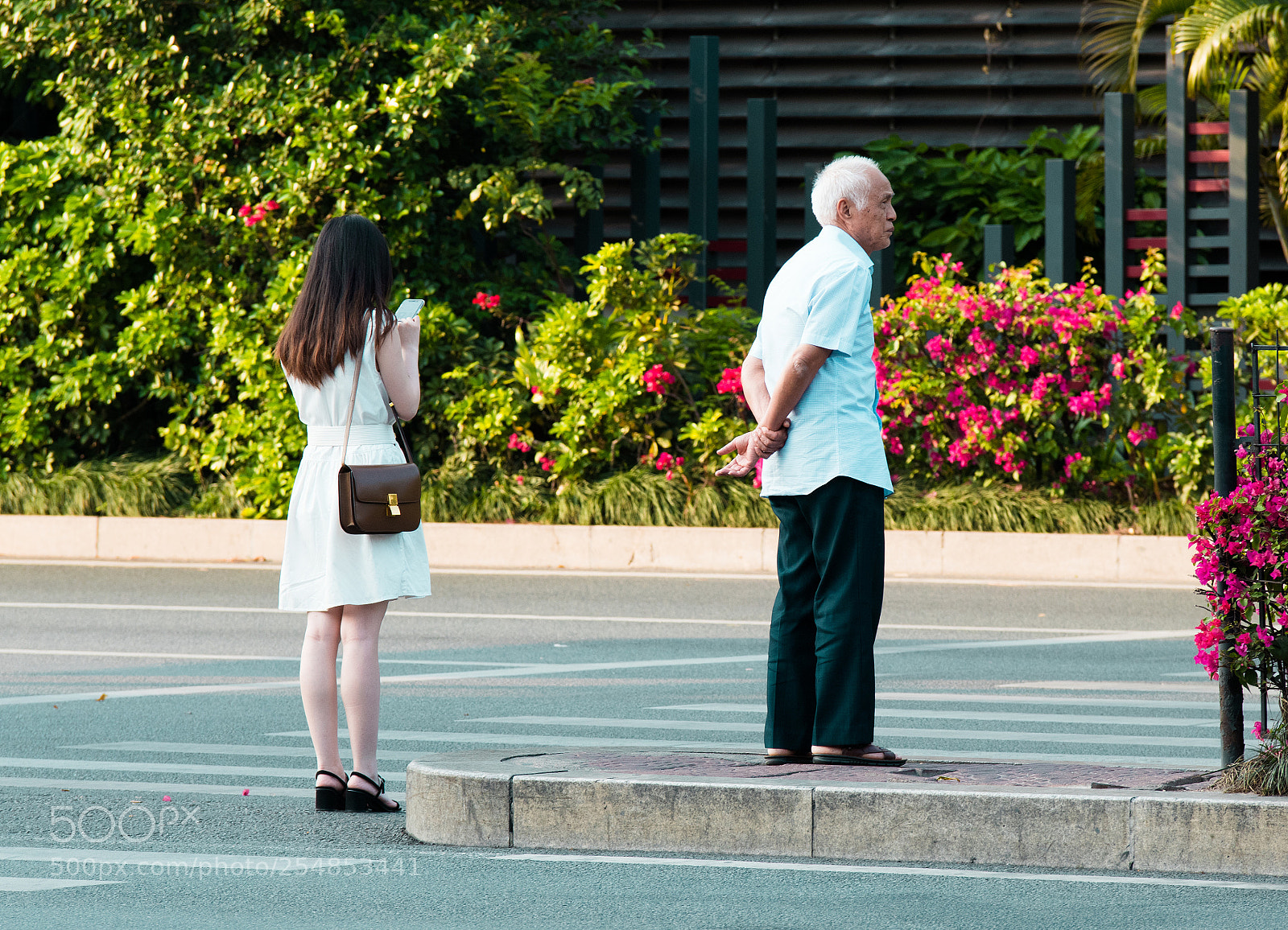 Nikon D810 sample photo. Waiting photography