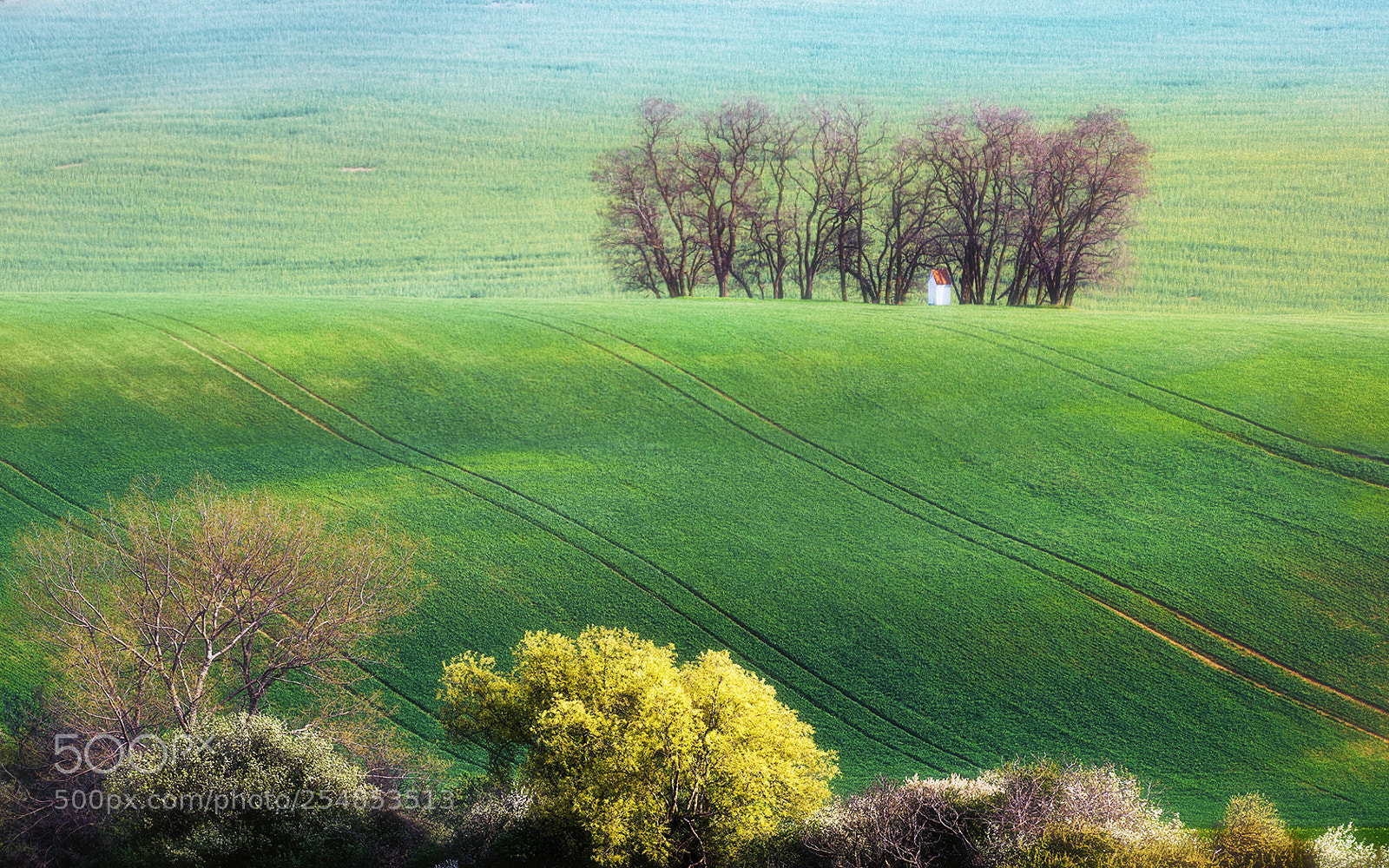 Nikon D810 sample photo. Hill of hope photography