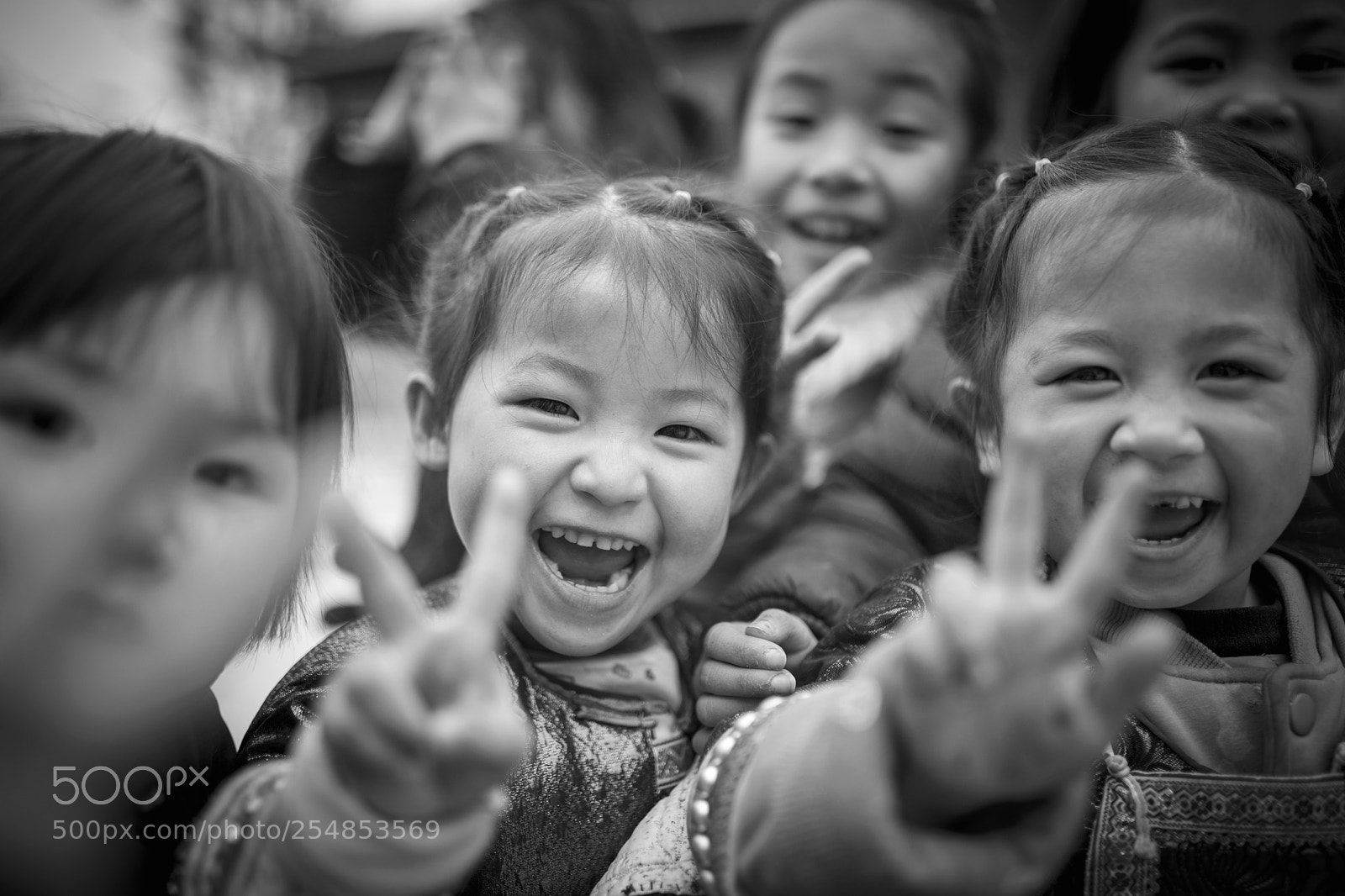 Nikon D850 sample photo. 我也来拍一个 photography