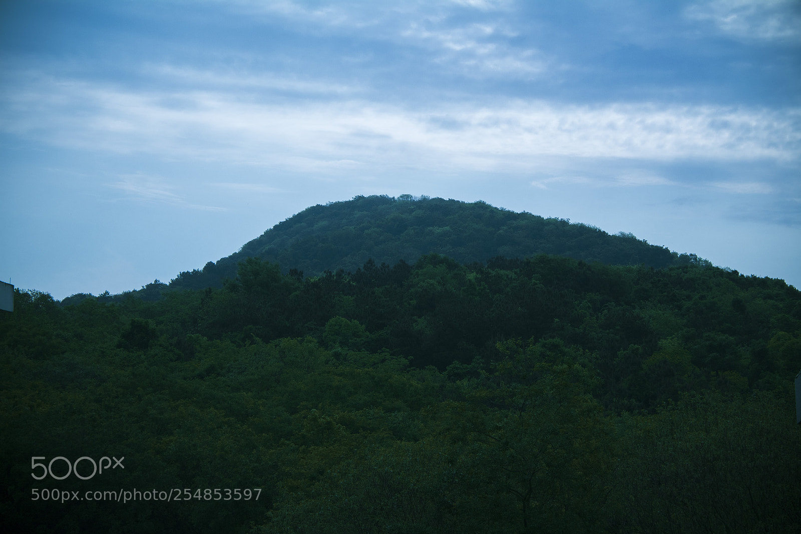 Canon EOS 1300D (EOS Rebel T6 / EOS Kiss X80) sample photo. Out of the window photography