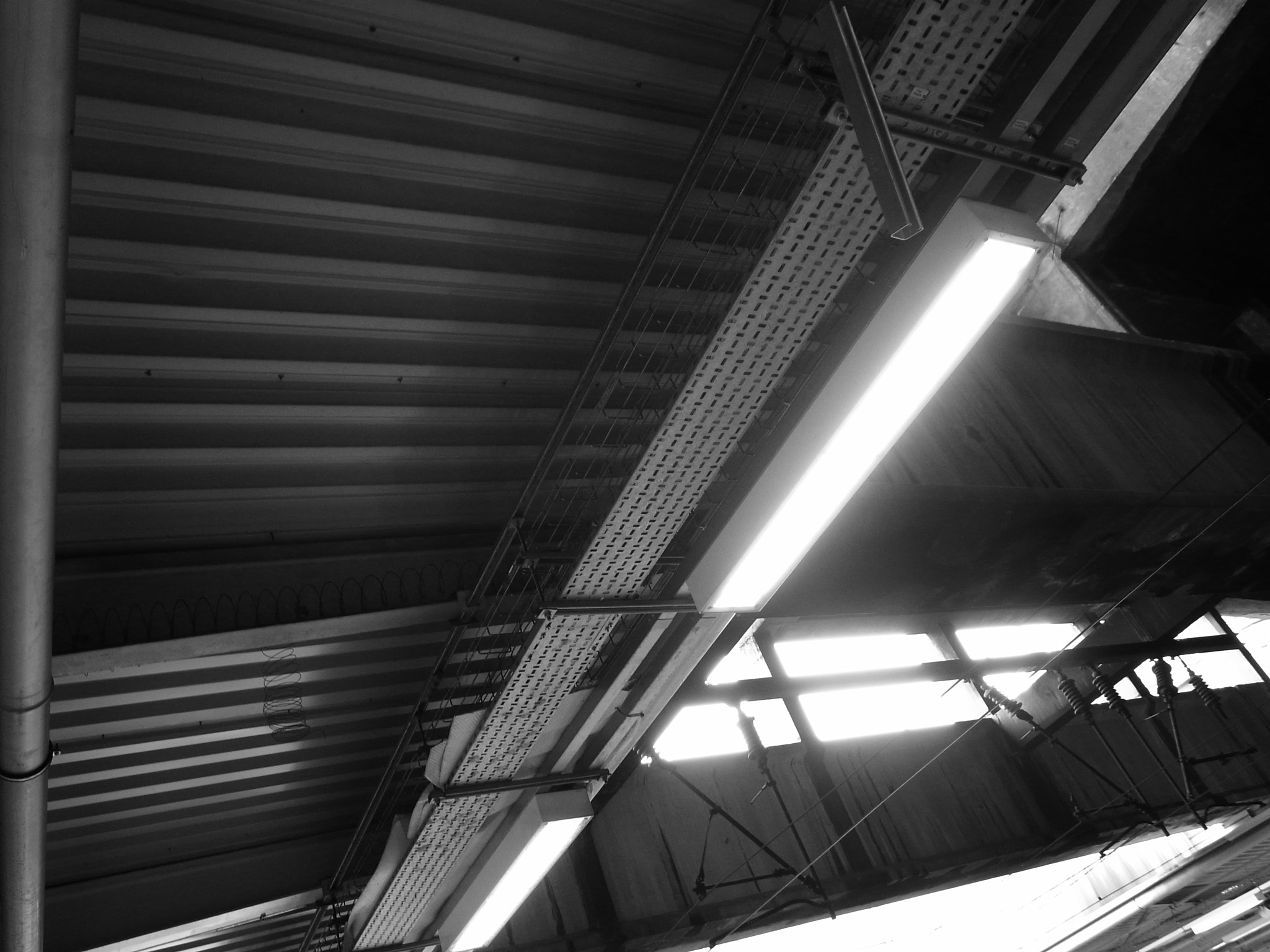 Ricoh GR DIGITAL 2 sample photo. Exif_jpeg_picture photography