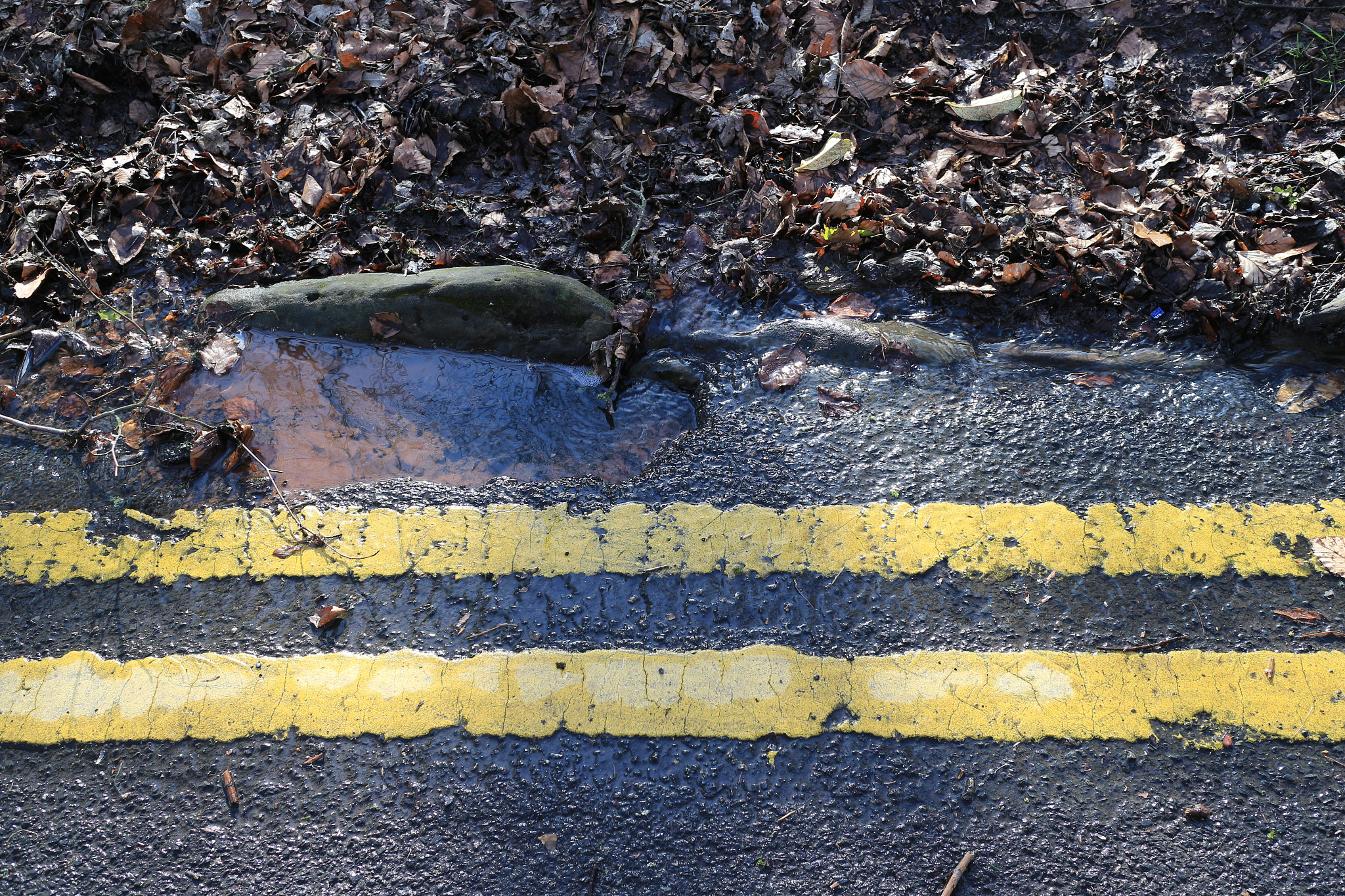 Canon EOS M sample photo. Img o photography
