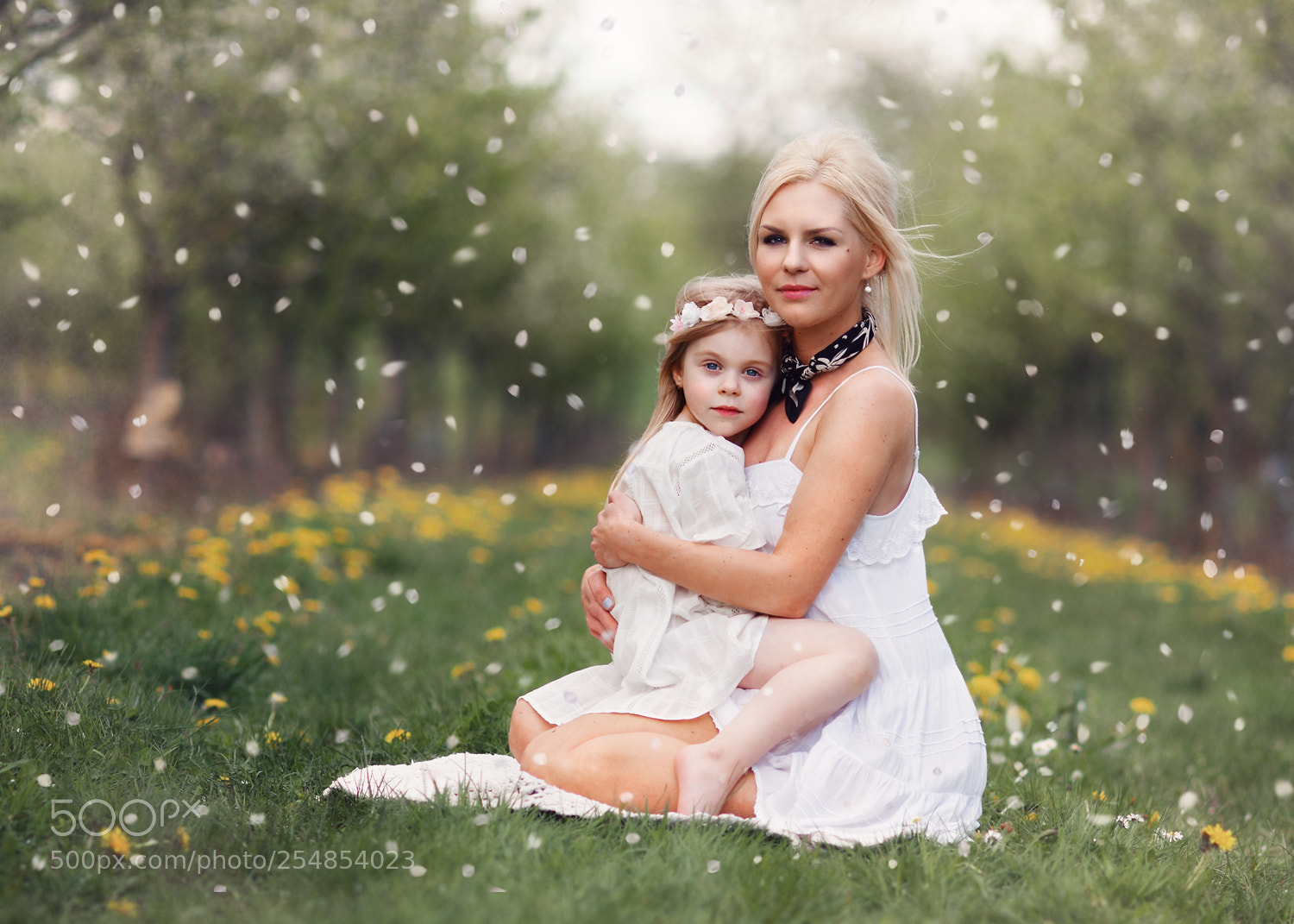 Nikon D700 sample photo. Spring beauties photography