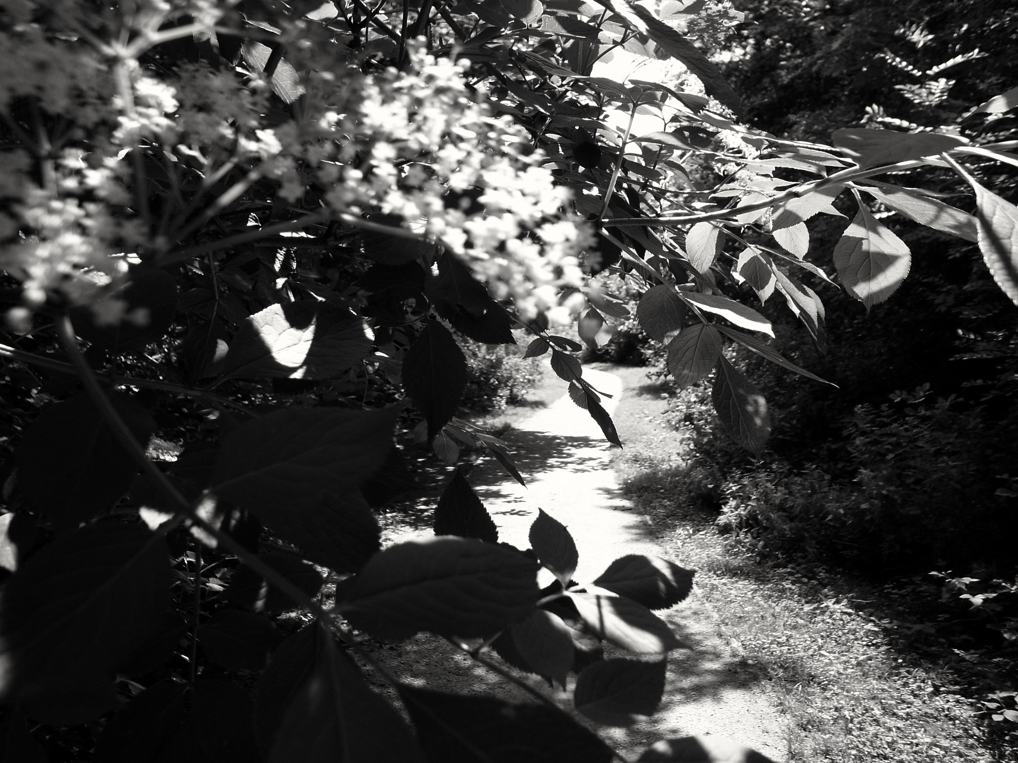 Ricoh GR DIGITAL 2 sample photo. Exif_jpeg_picture photography