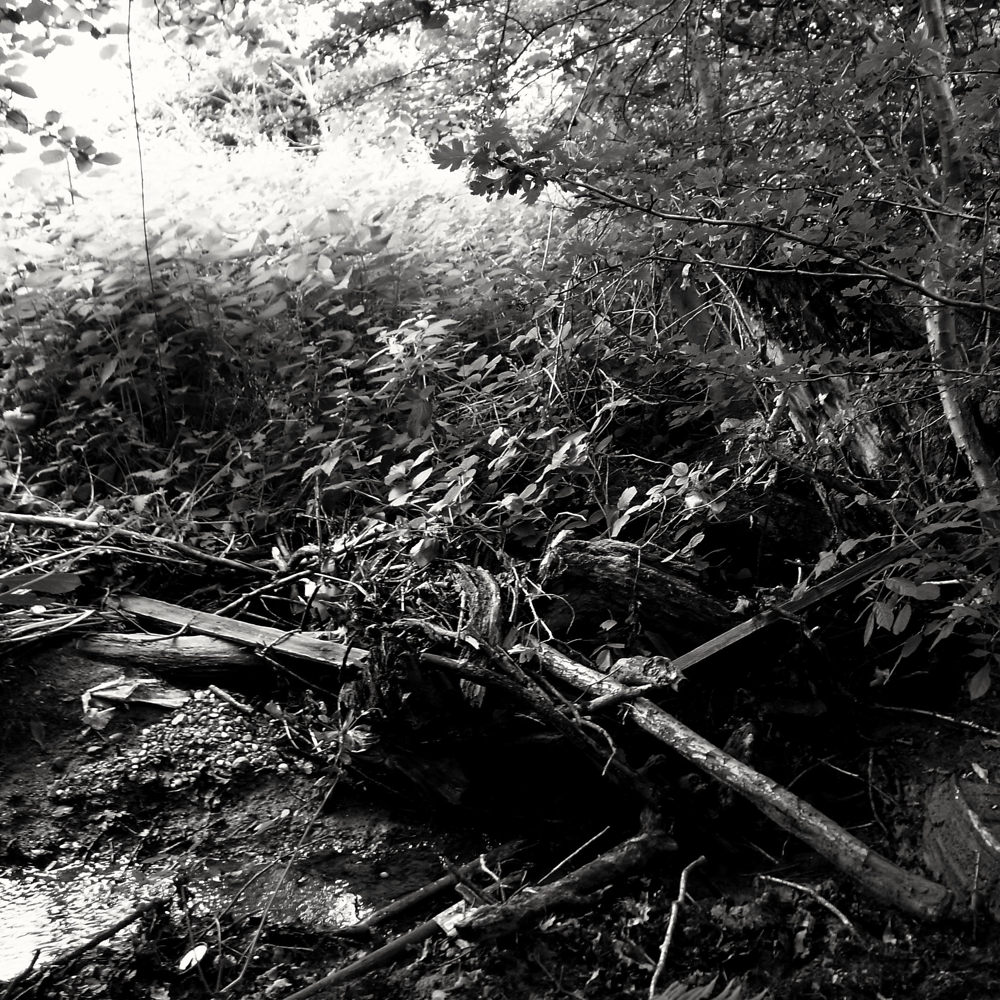 Ricoh GR DIGITAL 2 sample photo. Exif_jpeg_picture photography