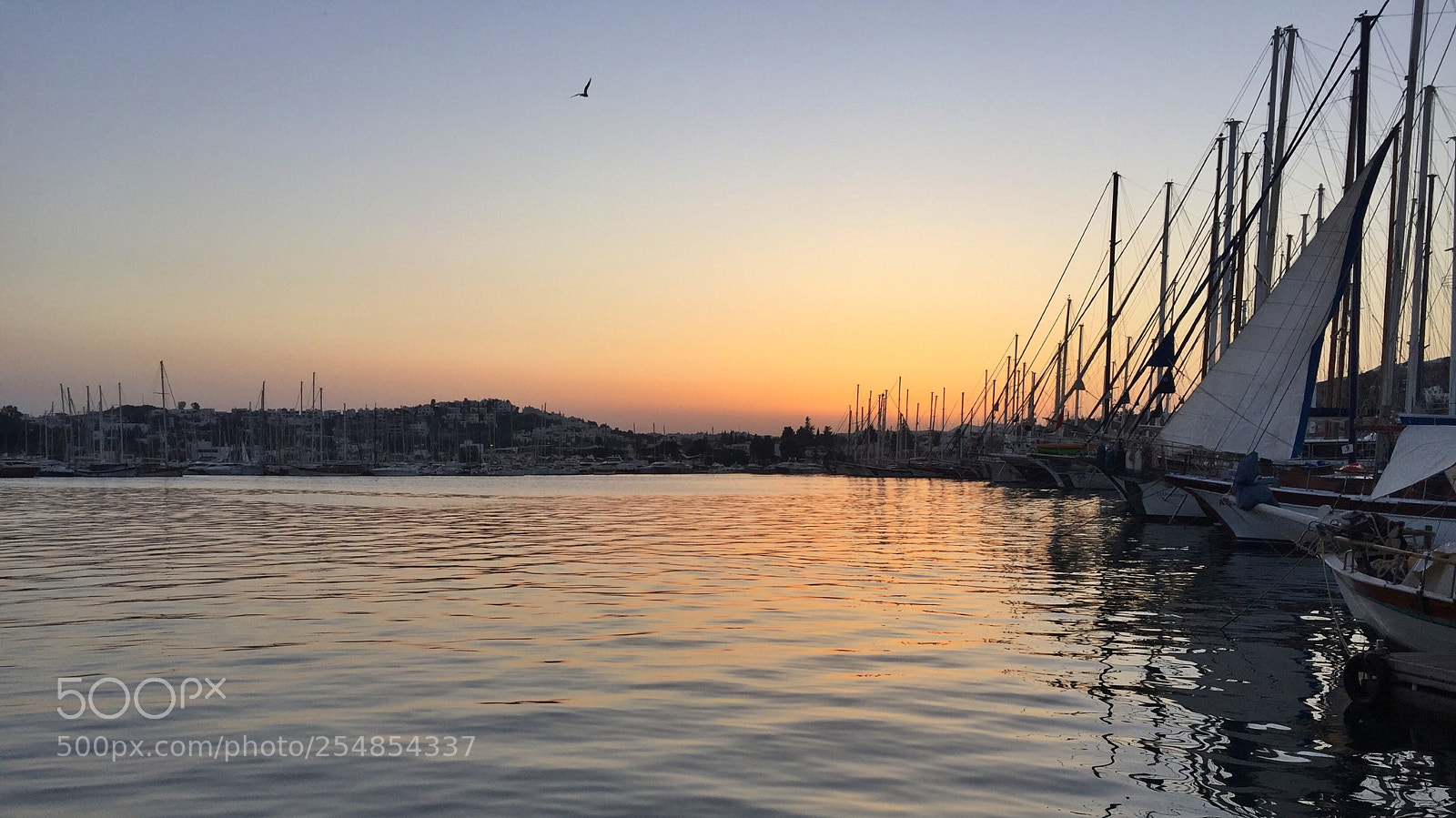 Apple iPhone 6 sample photo. Sunset photography