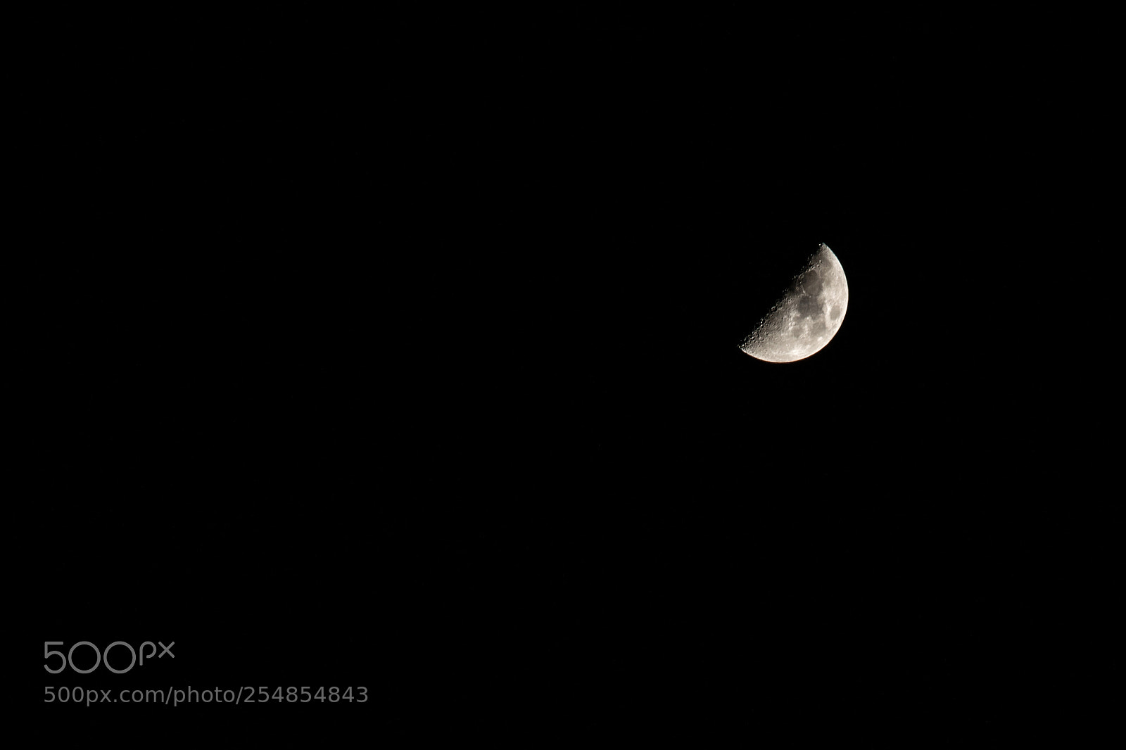 Nikon D3100 sample photo. Half moon photography