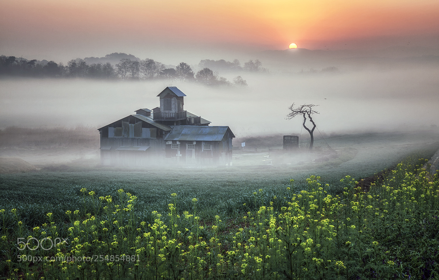 Canon EOS 5D Mark II sample photo. The sunrise photography