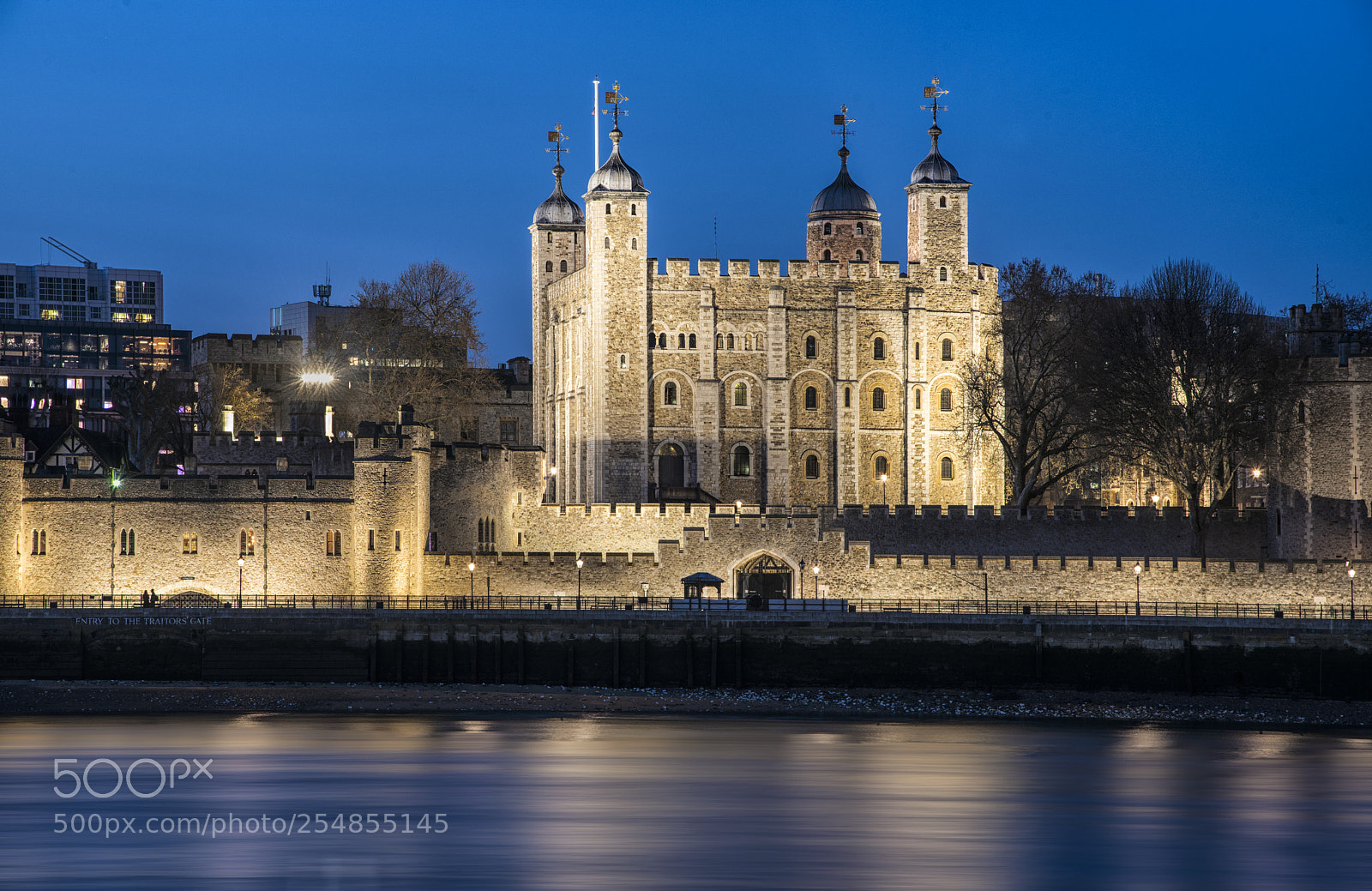 Nikon D810 sample photo. Tower of london london photography
