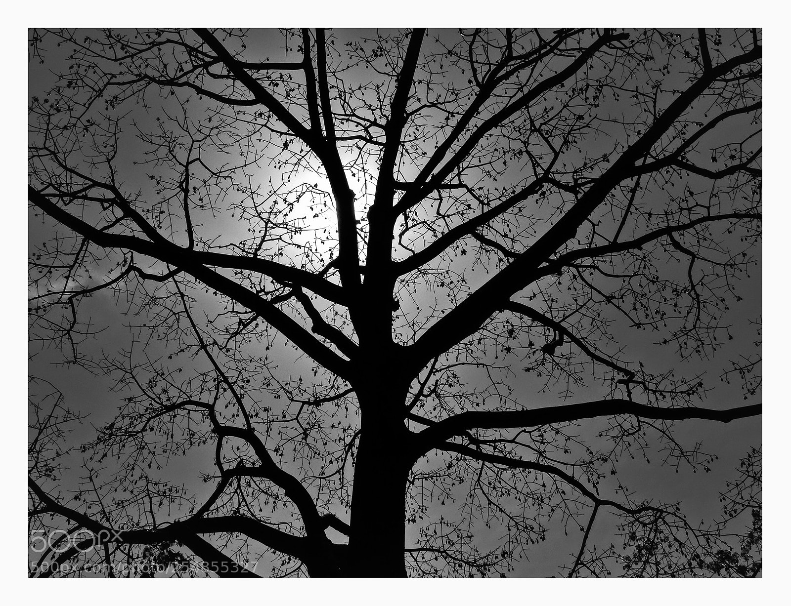 Panasonic Lumix DMC-FZ200 sample photo. El lado oscuro del photography