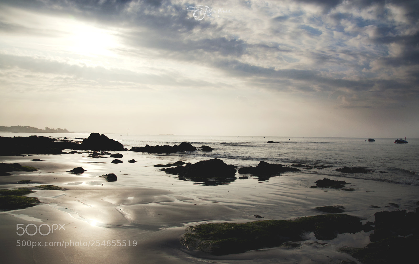 Nikon D90 sample photo. Carnac photography