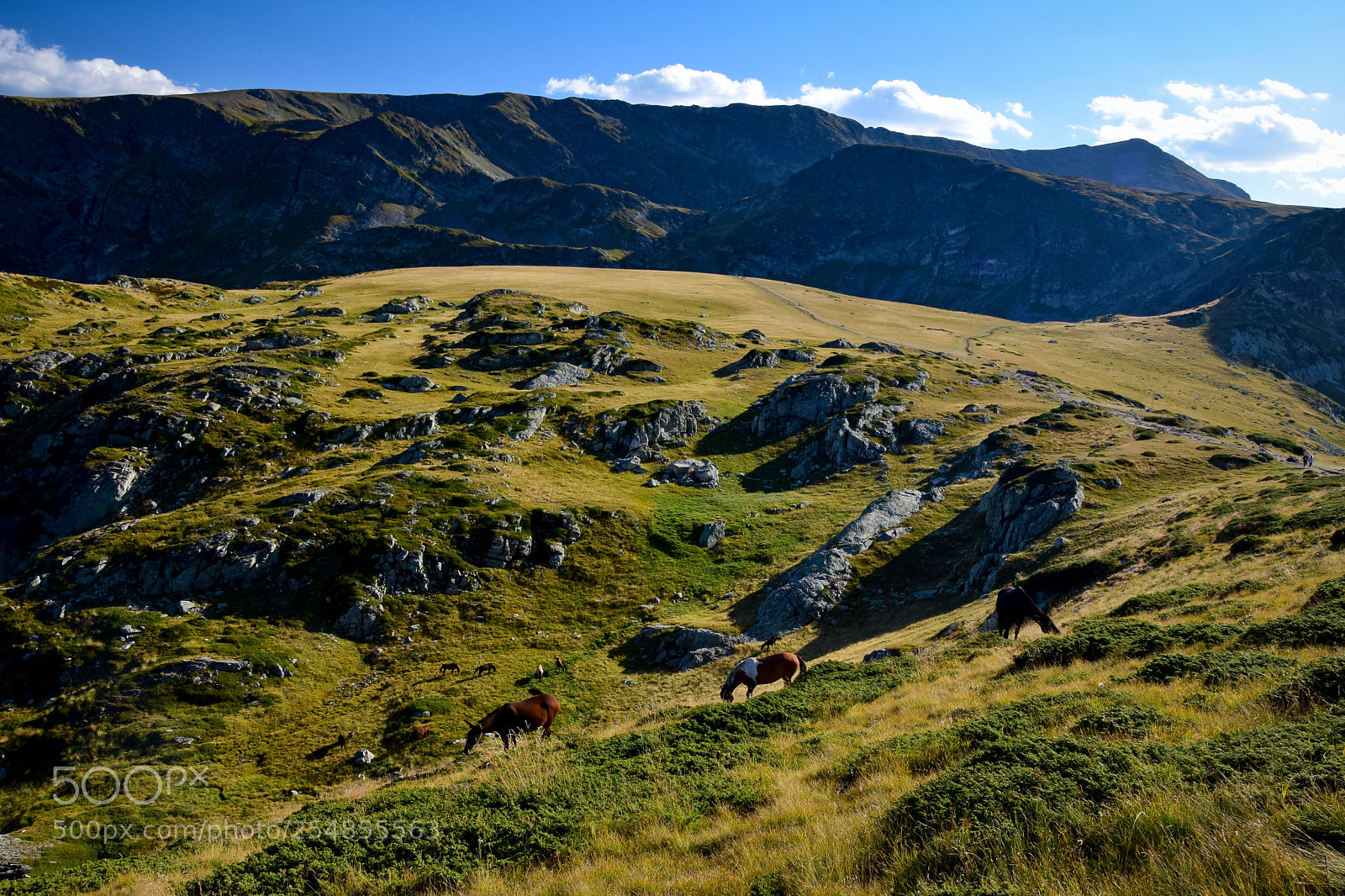Nikon D5300 sample photo. Rila mountain photography