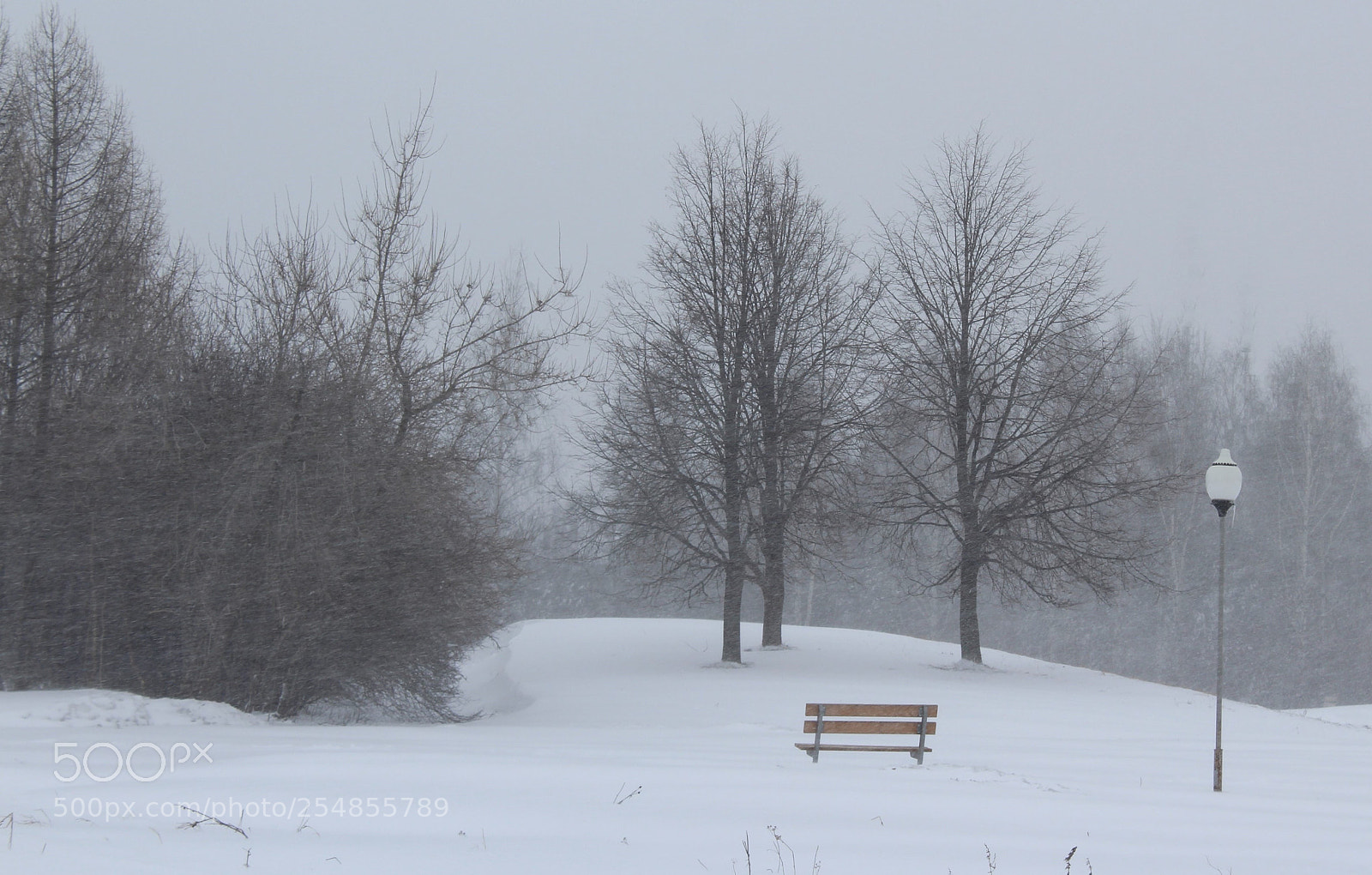 Canon EOS 1300D (EOS Rebel T6 / EOS Kiss X80) sample photo. Return to winter photography