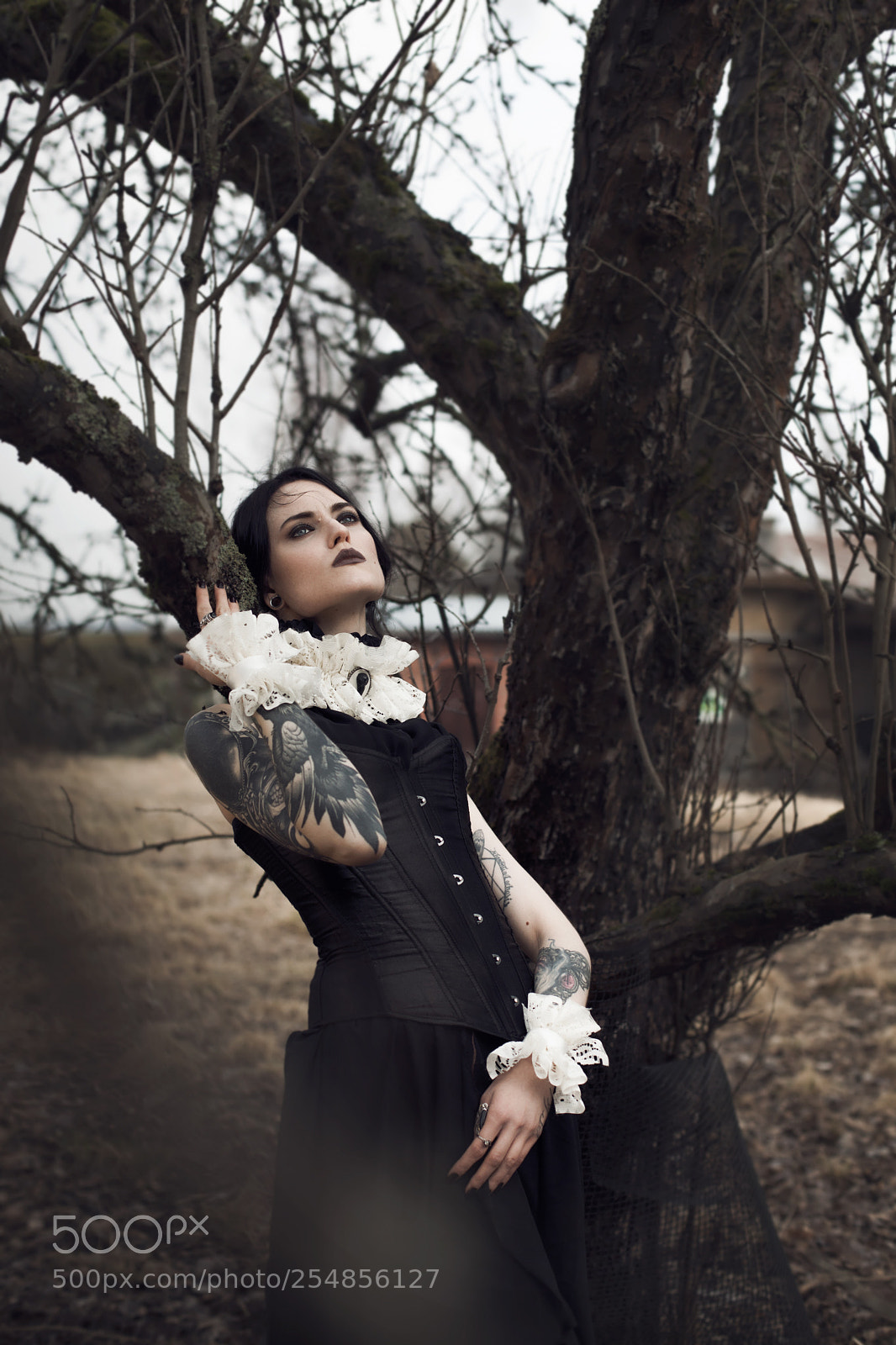 Canon EOS 5D Mark II sample photo. Hidden beauty in the photography