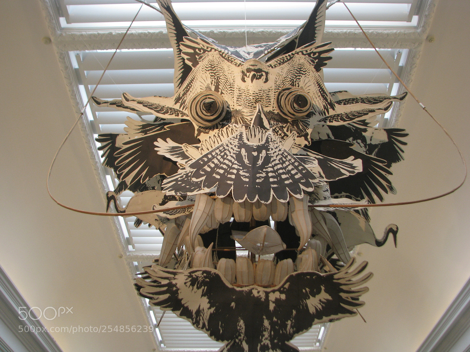 Canon POWERSHOT S5 IS sample photo. Dragon in process photography