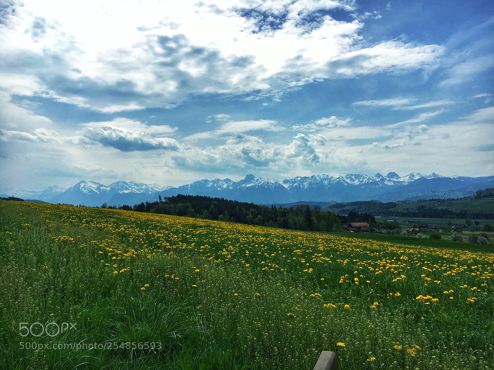 Apple iPhone 6s sample photo. Niesen, stockhorn and the photography