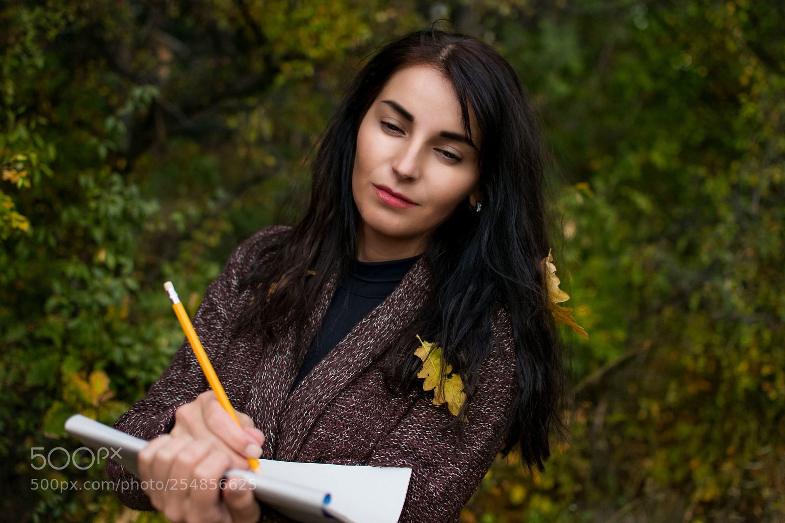 Nikon D5300 sample photo. Autumn art photography