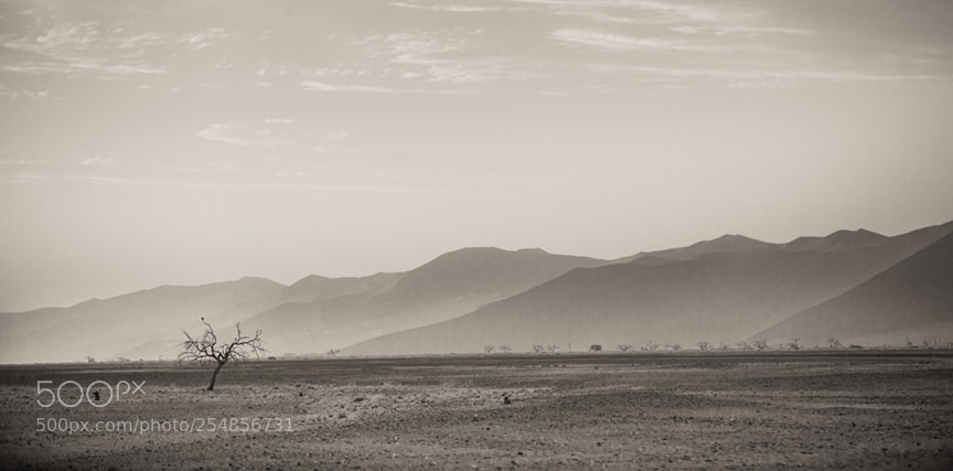 Canon EOS 5D Mark II sample photo. Amanece en el namib photography