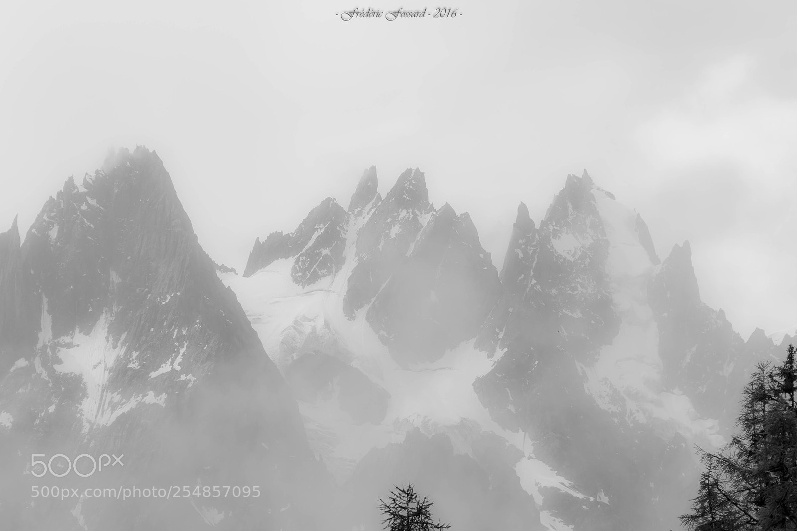 Canon EOS 70D sample photo. Voile de brume sur photography