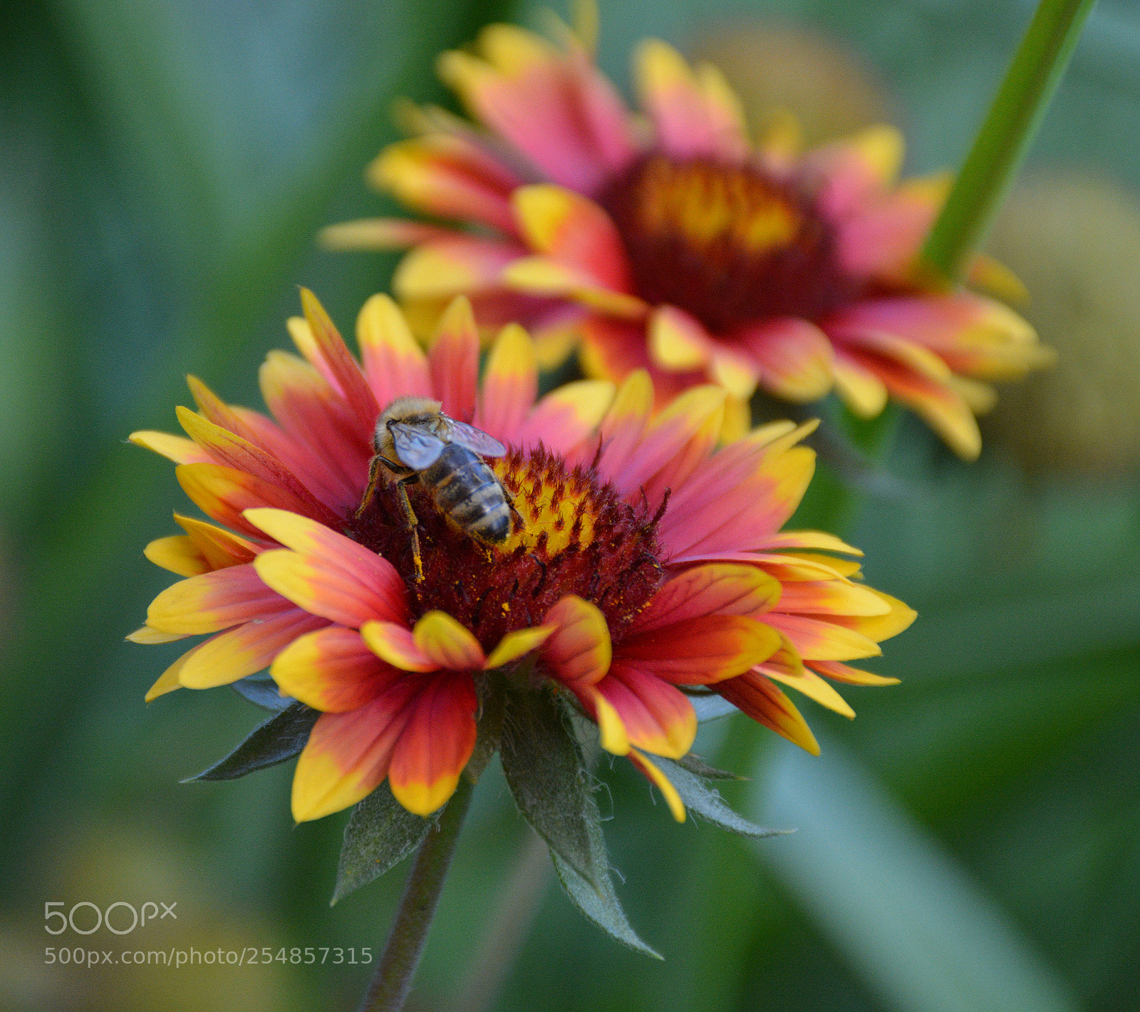Nikon D5200 sample photo. First touch photography