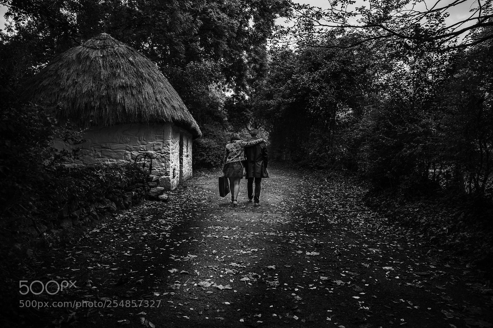 Canon EOS 5D Mark II sample photo. The way home photography