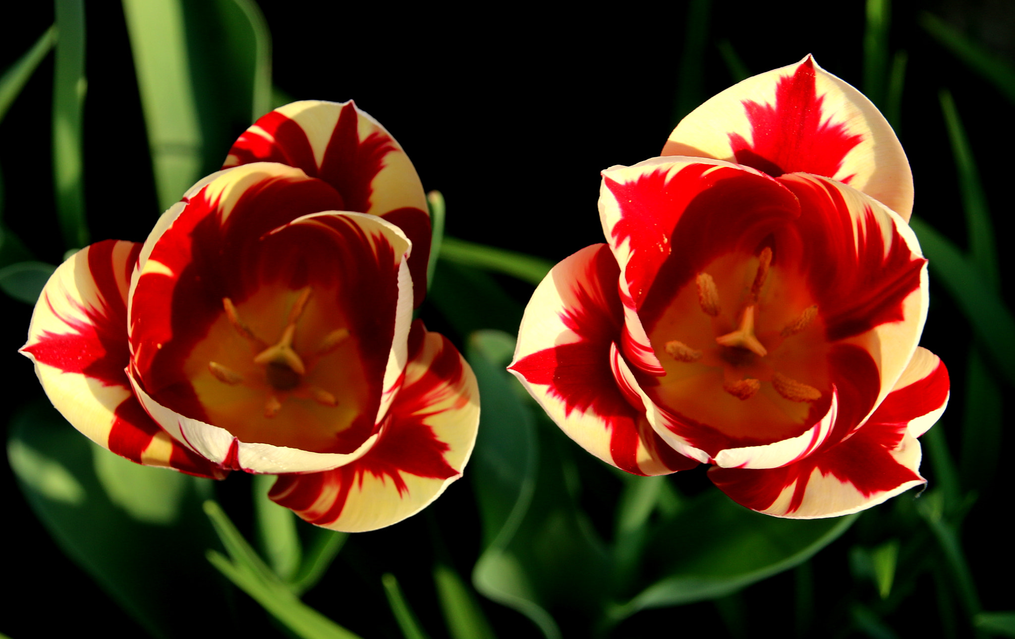 Canon EOS 70D sample photo. Img photography