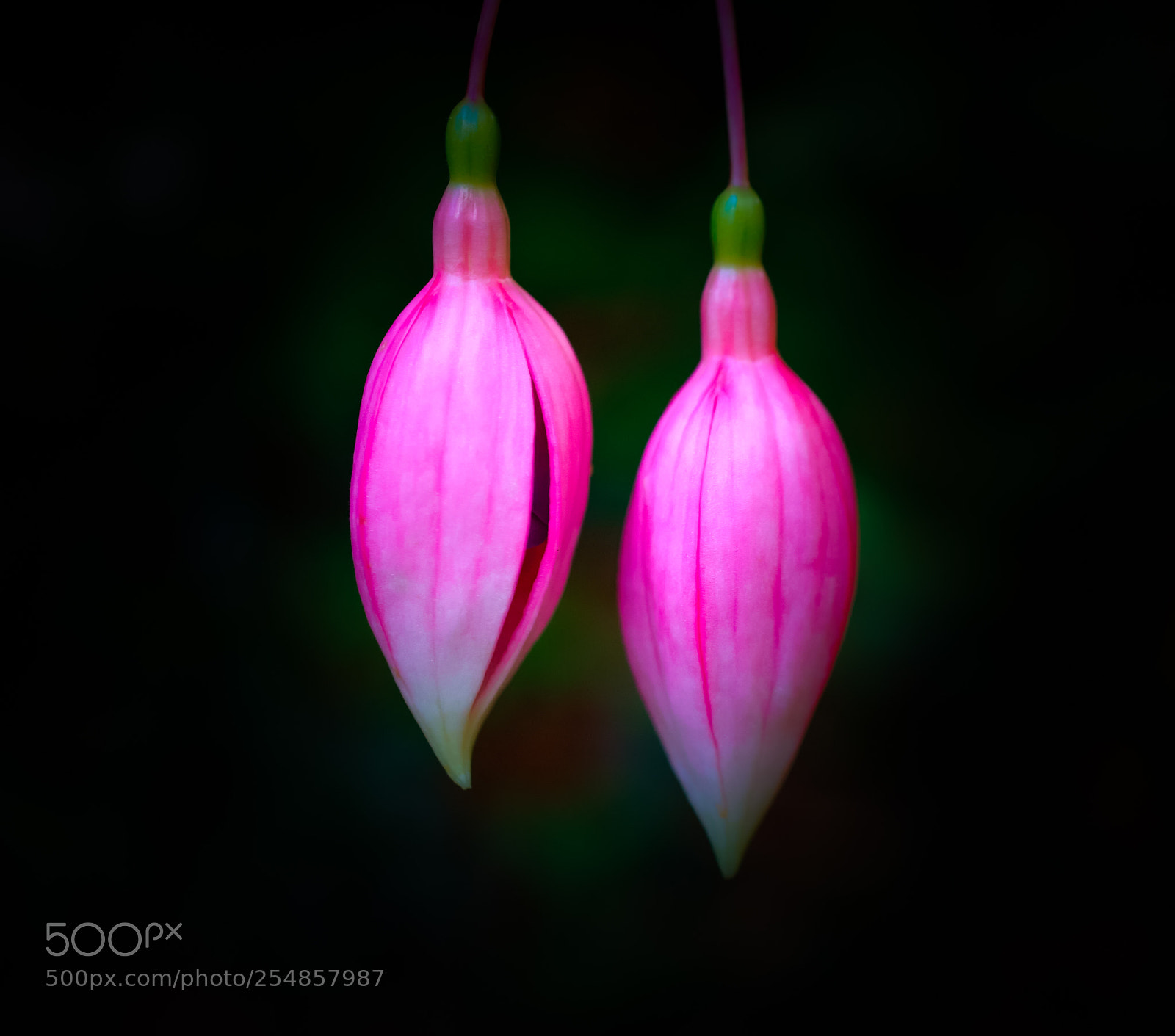 Sony a6000 sample photo. Two sisters photography