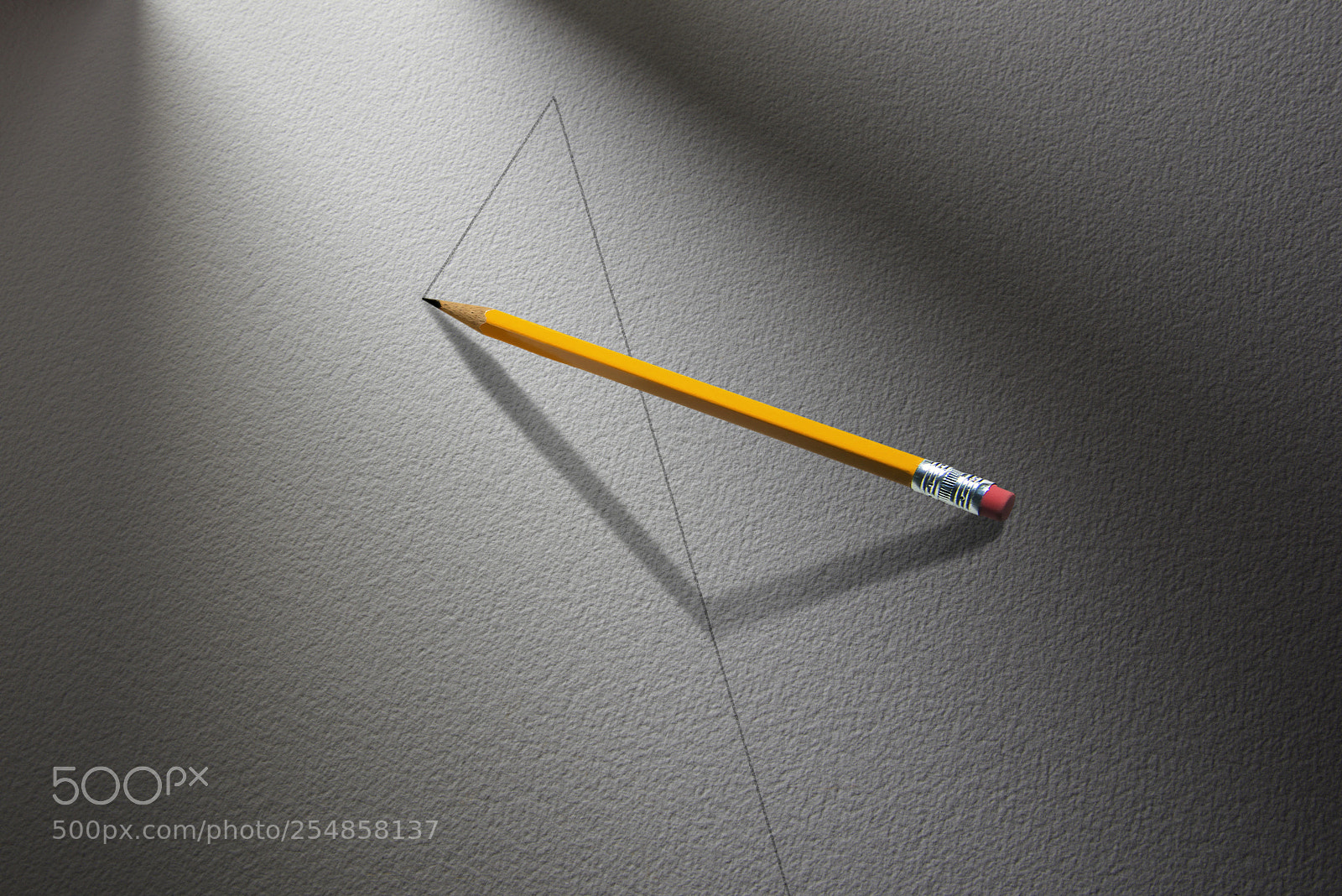 Nikon D810 sample photo. A shadow worth leaning photography