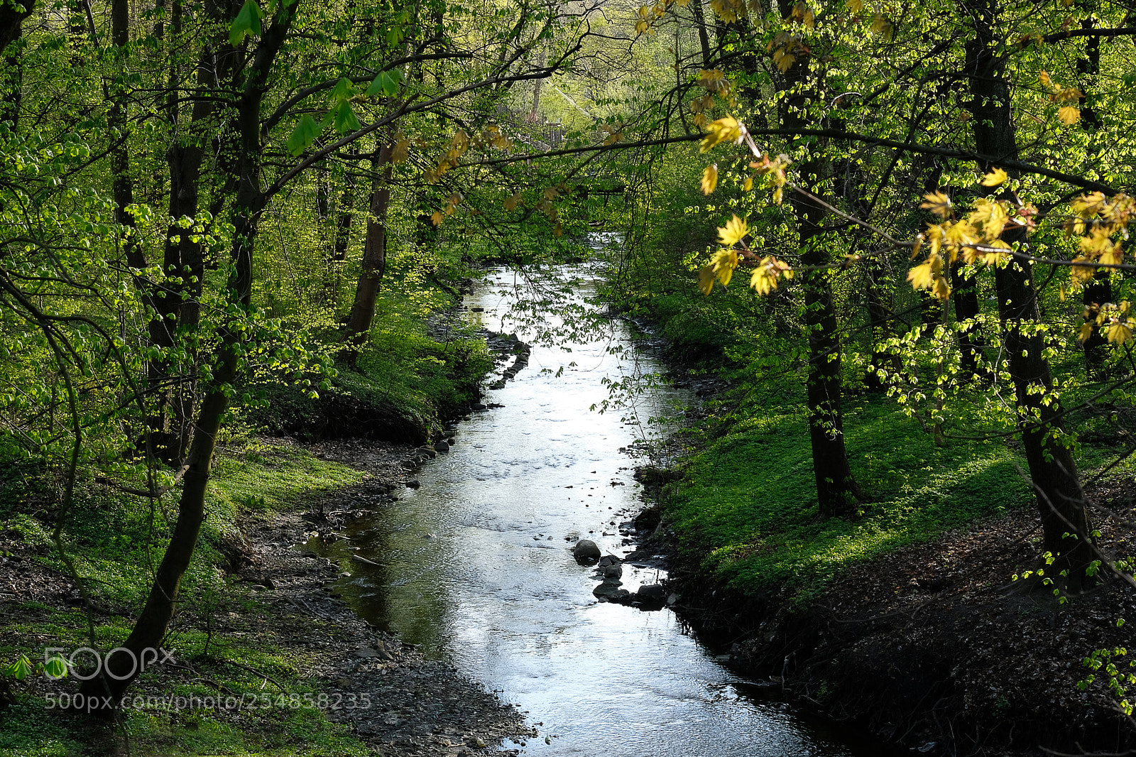 Fujifilm X-T20 sample photo. Brook in the spring photography