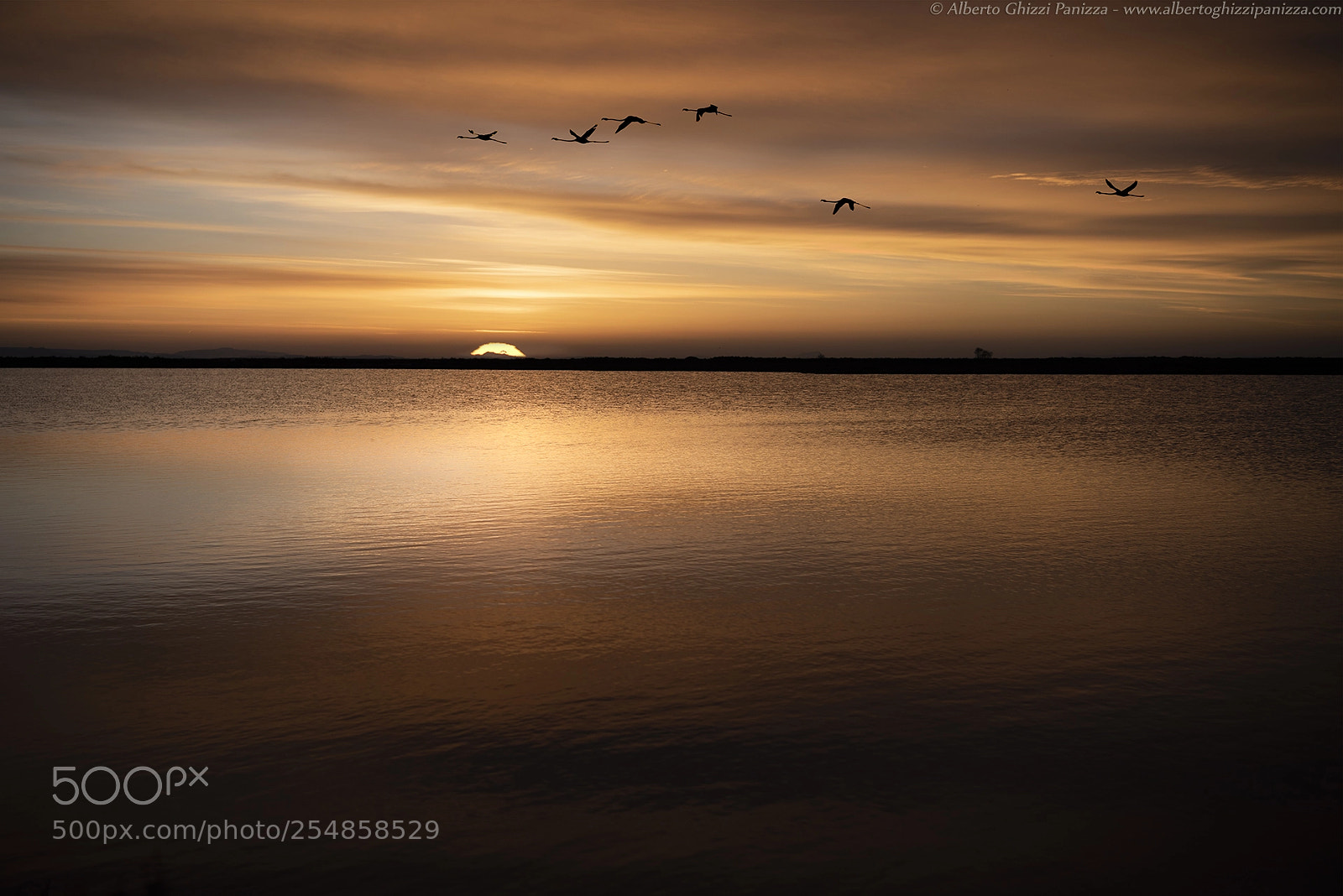 Nikon D810 sample photo. Sunrise flight photography