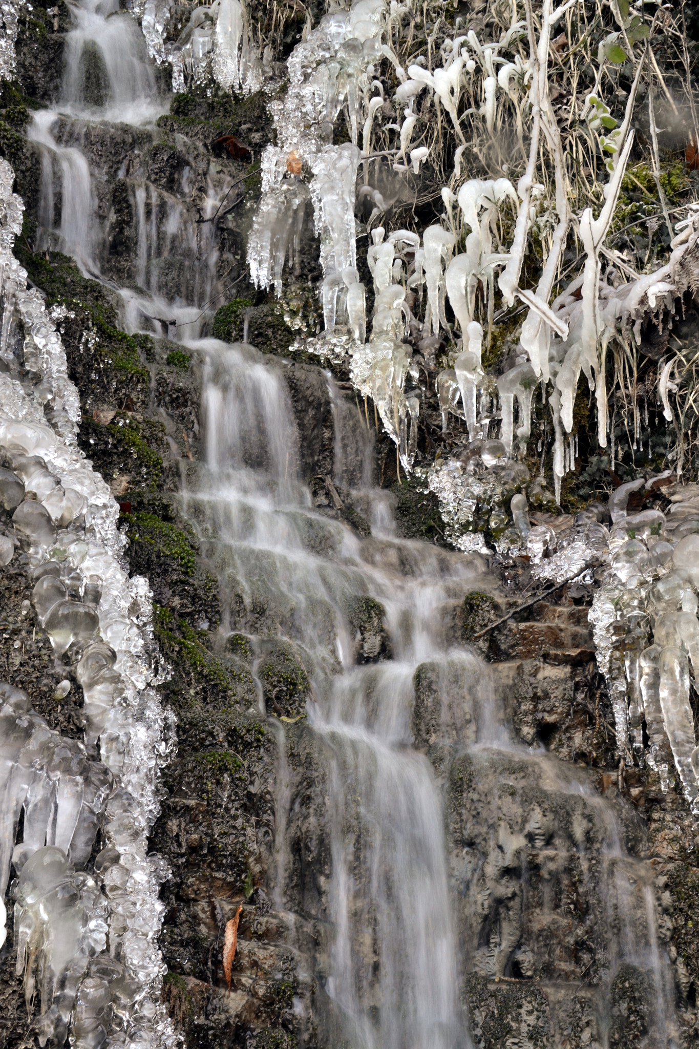 Nikon D3100 sample photo