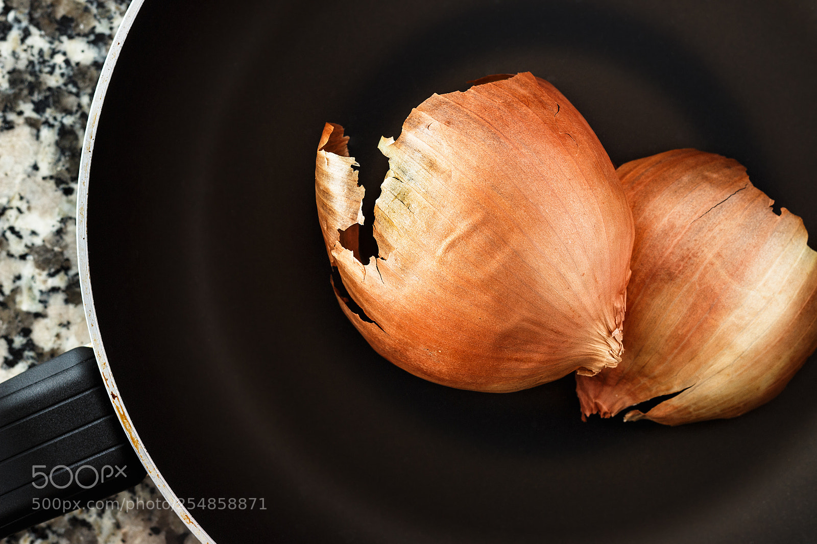 Canon EOS 700D (EOS Rebel T5i / EOS Kiss X7i) sample photo. Onion skin photography
