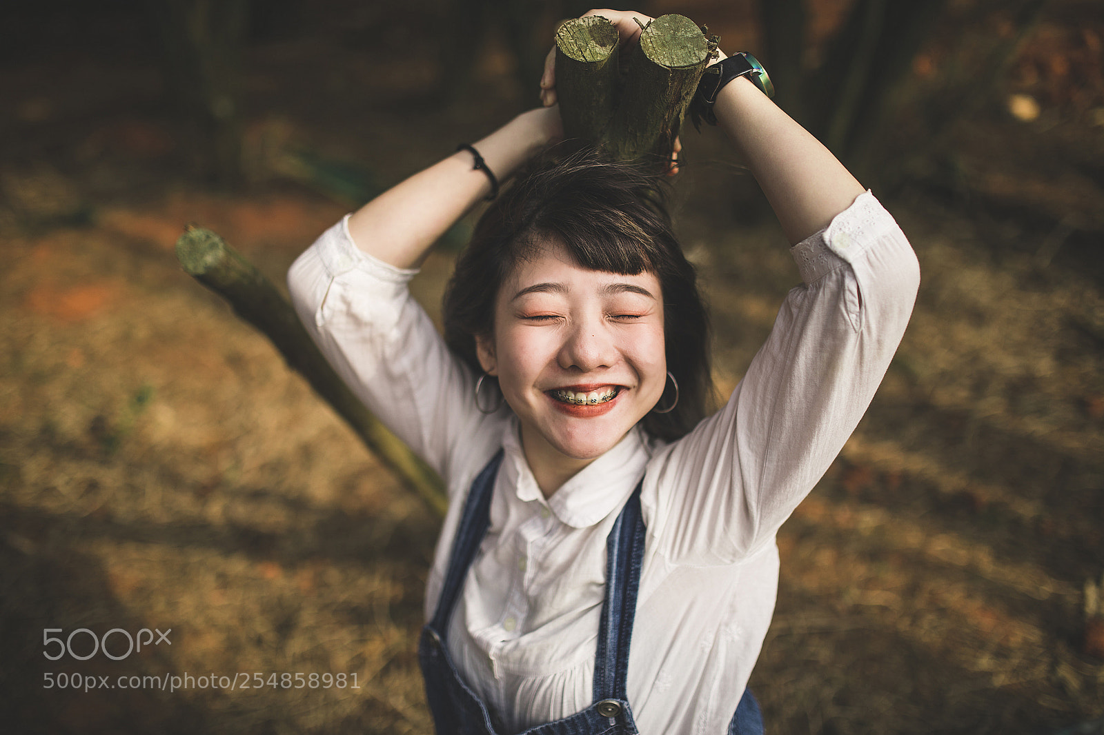 Canon EOS 5D Mark IV sample photo. The forest photography