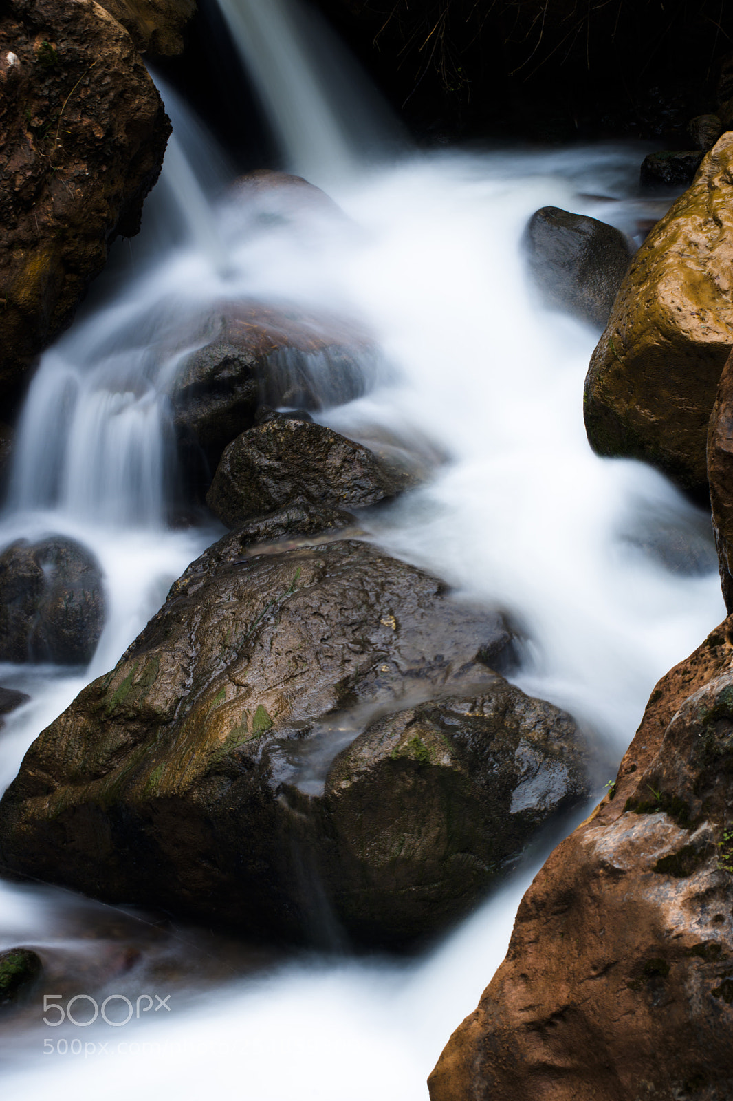 Nikon D7200 sample photo. Untitled photography