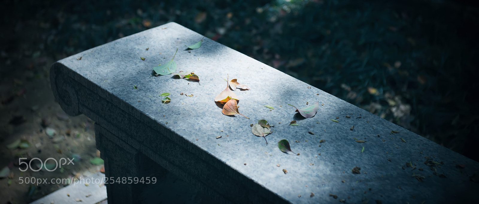 Leica M (Typ 240) sample photo. Tiny light. photography
