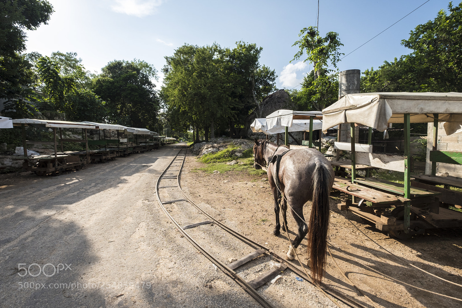 Fujifilm X-T2 sample photo. Traditional transport to chunkanan photography