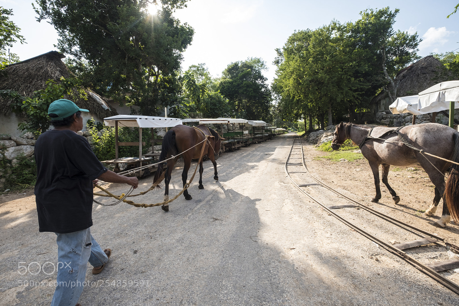 Fujifilm X-T2 sample photo. Traditional transport to chunkanan photography