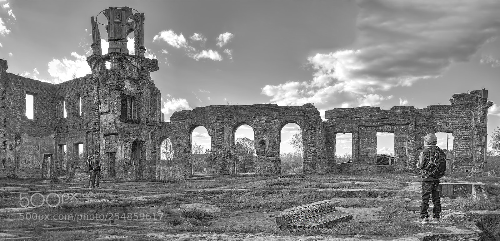 Nikon D800E sample photo. Ruins of tereshchenko manor photography