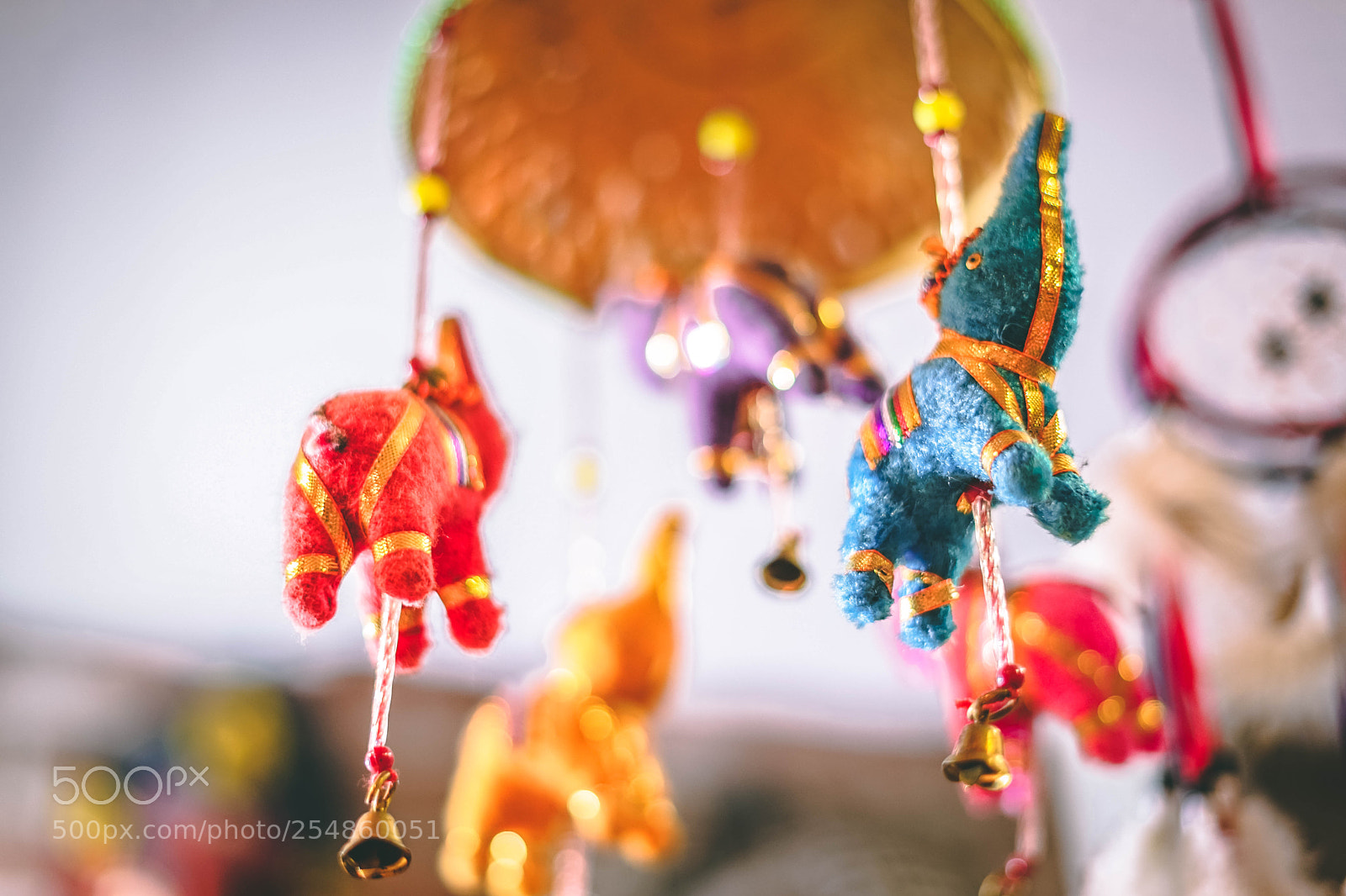 Sony a7 II sample photo. Hanging indian elephants photography