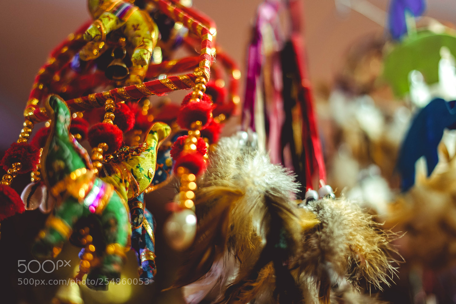 Sony a7 II sample photo. Hanging in namaste photography