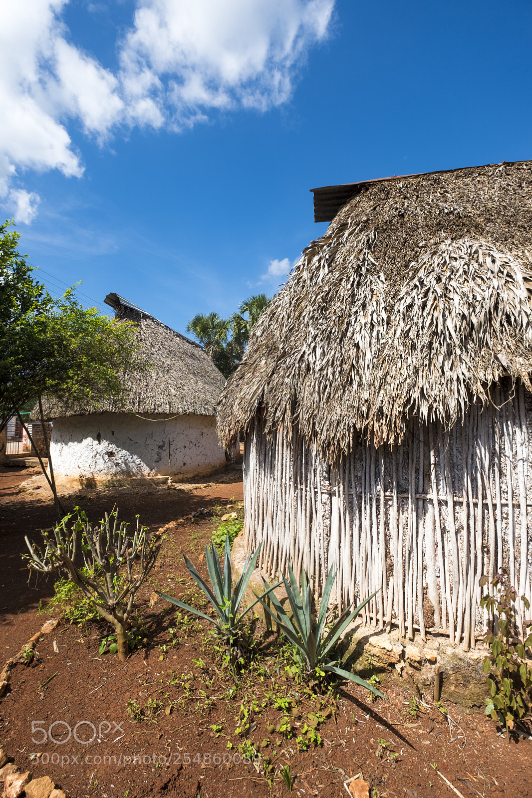 Fujifilm X-T2 sample photo. Traditional mayan house in photography