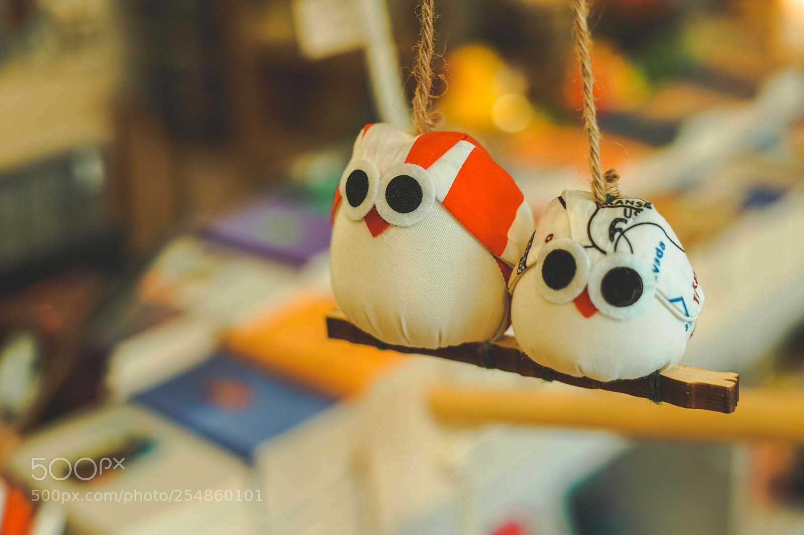 Sony a7 II sample photo. Toulouse birdy photography