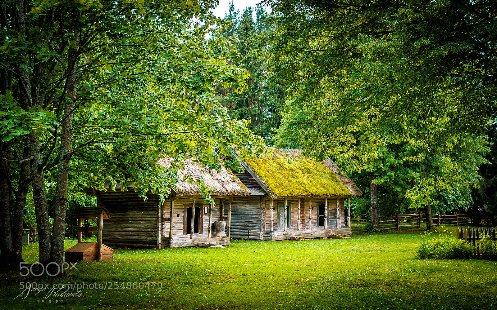 Sony a6000 sample photo. 256 shades of green photography