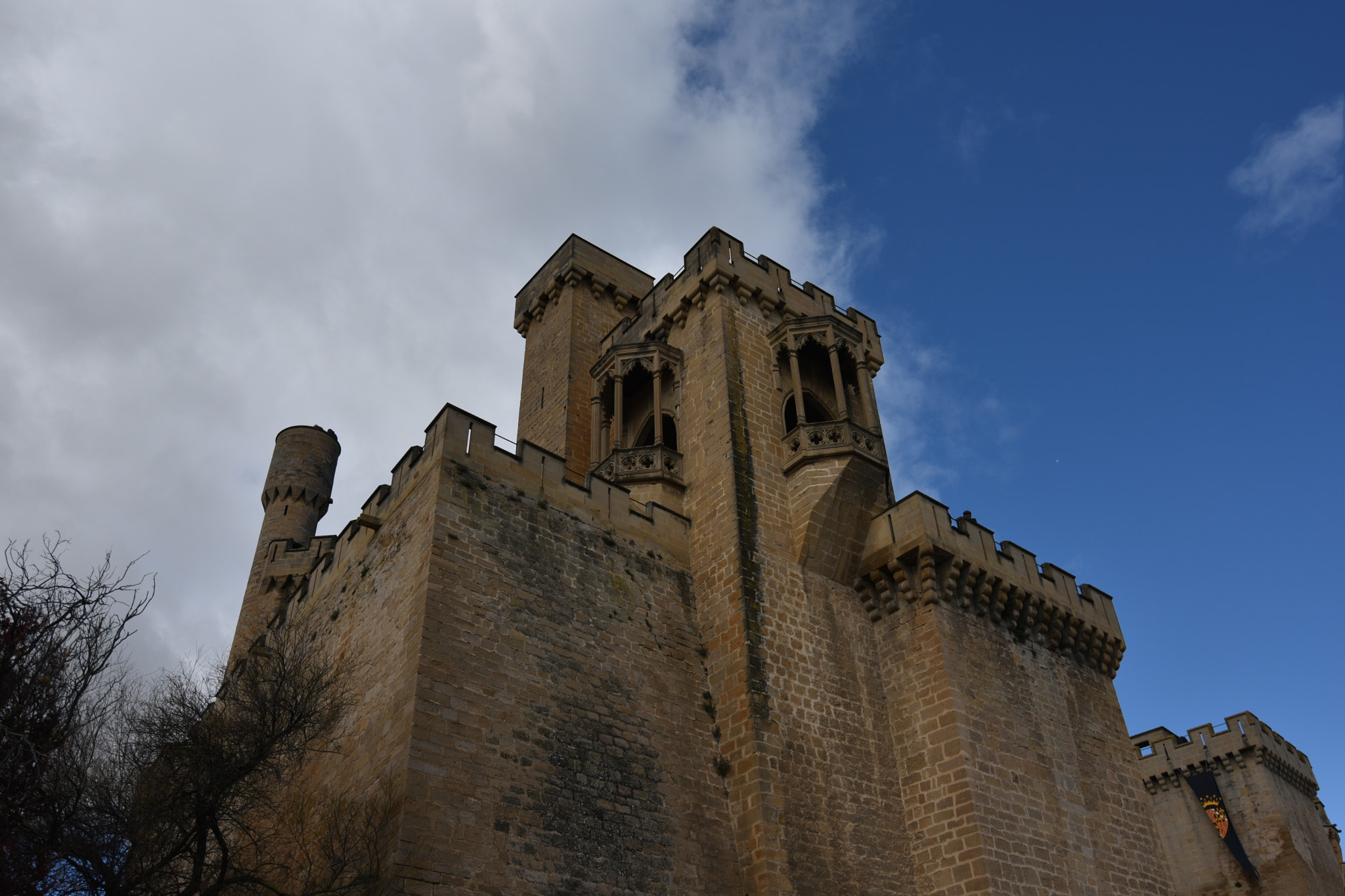 Nikon AF-S Nikkor 18-35mm F3.5-4.5G ED sample photo. Castillo de olite () photography