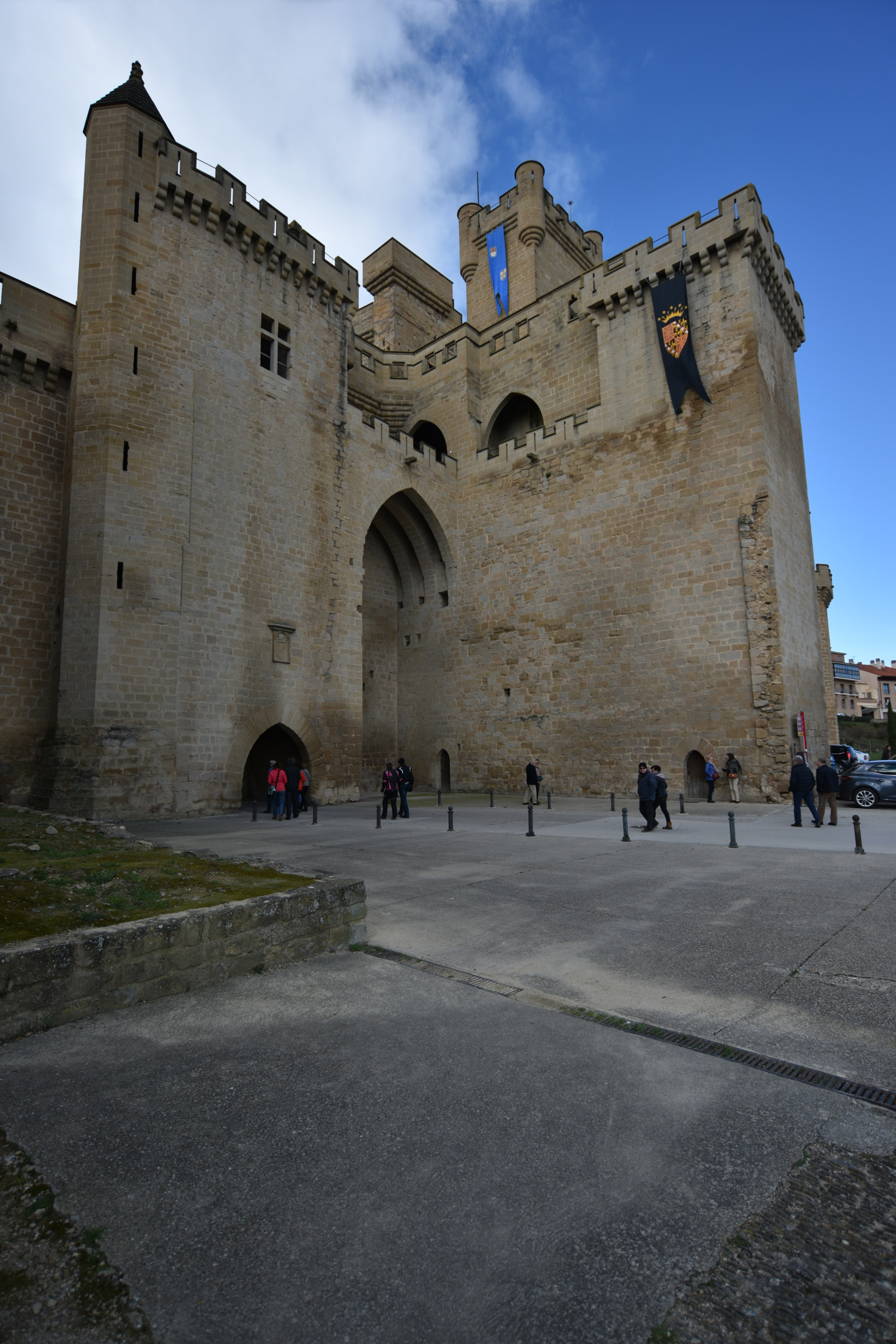 Nikon D810 + Nikon AF-S Nikkor 18-35mm F3.5-4.5G ED sample photo. Castillo de olite () photography