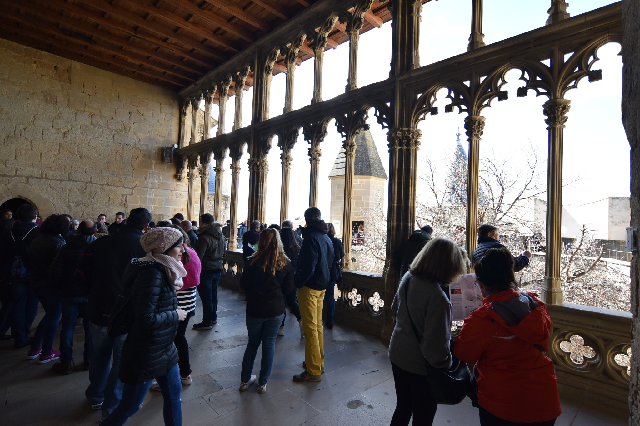 Nikon D810 + Nikon AF-S Nikkor 18-35mm F3.5-4.5G ED sample photo. Castillo de olite () photography