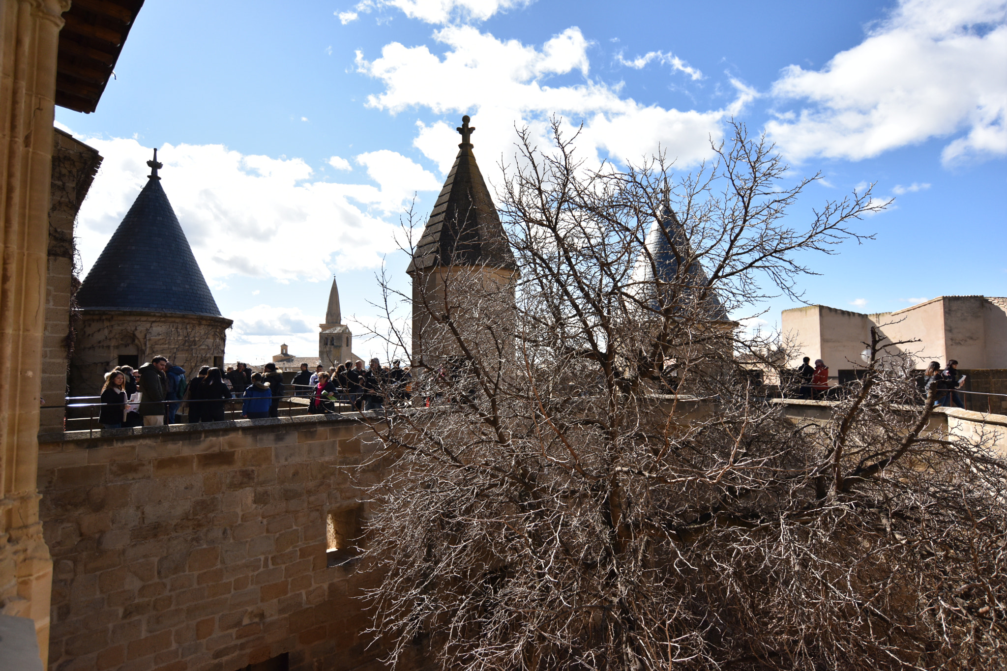 Nikon D810 sample photo. Castillo de olite () photography