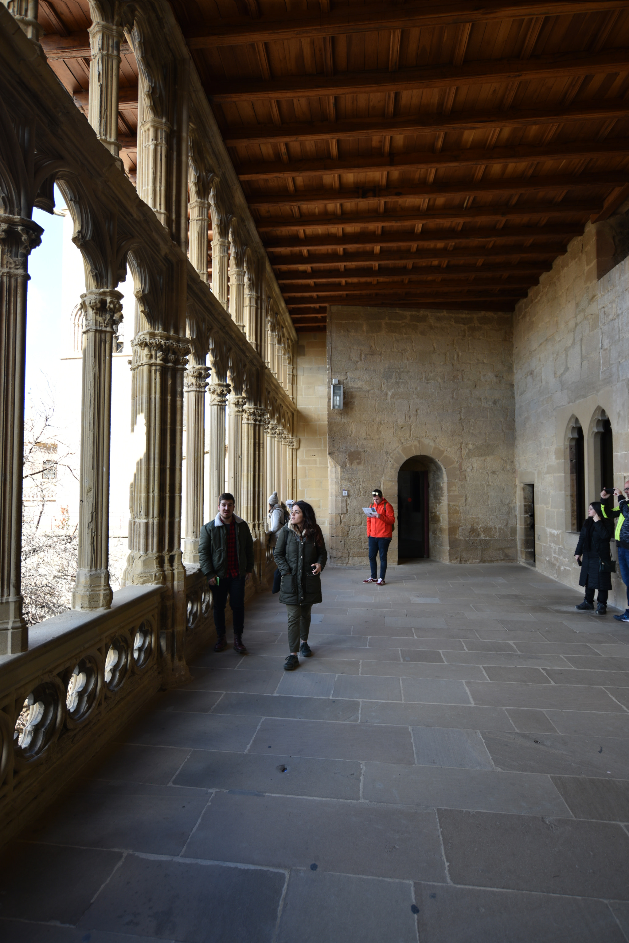 Nikon D810 + Nikon AF-S Nikkor 18-35mm F3.5-4.5G ED sample photo. Castillo de olite () photography