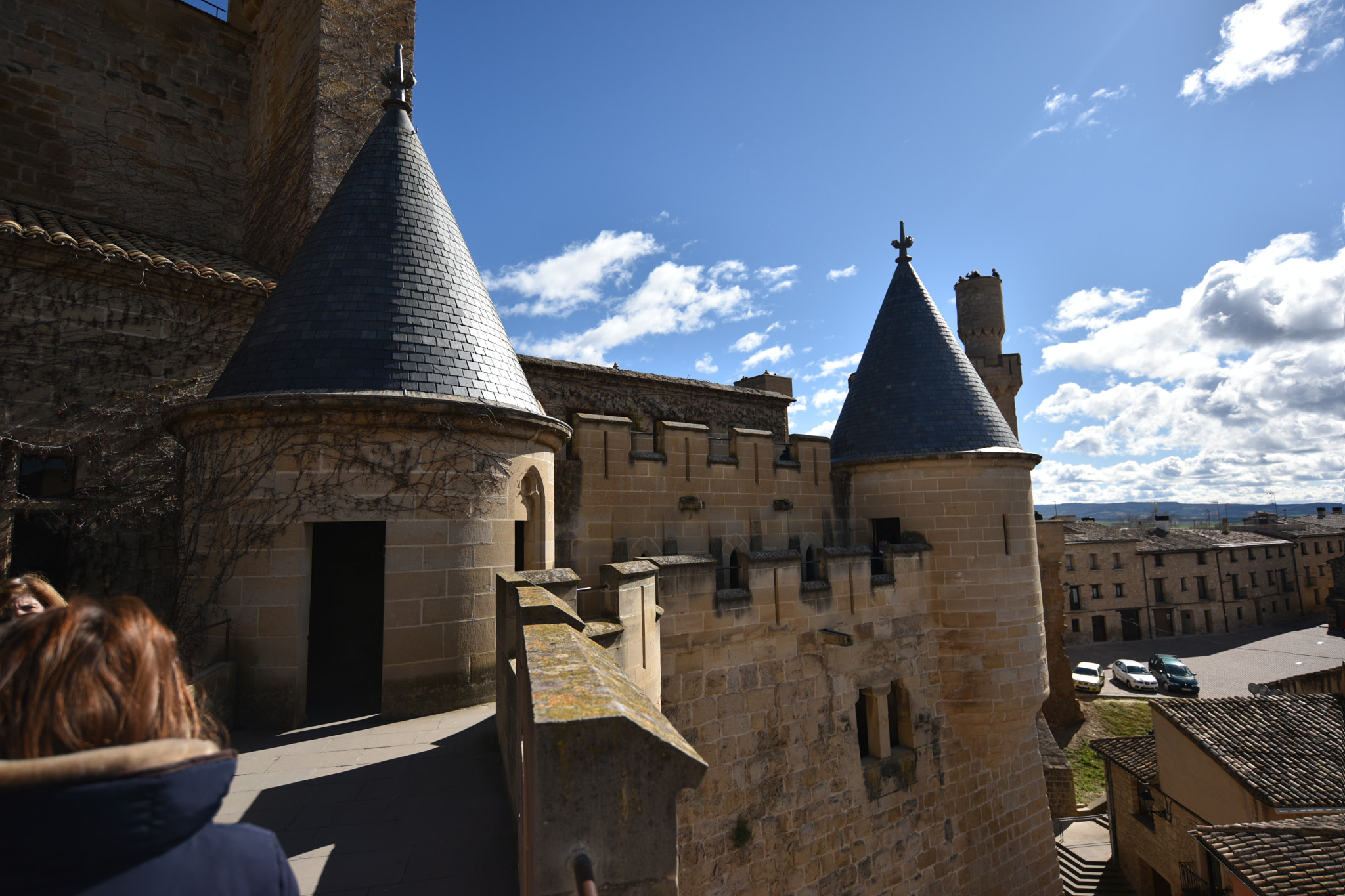 Nikon D810 + Nikon AF-S Nikkor 18-35mm F3.5-4.5G ED sample photo. Castillo de olite () photography