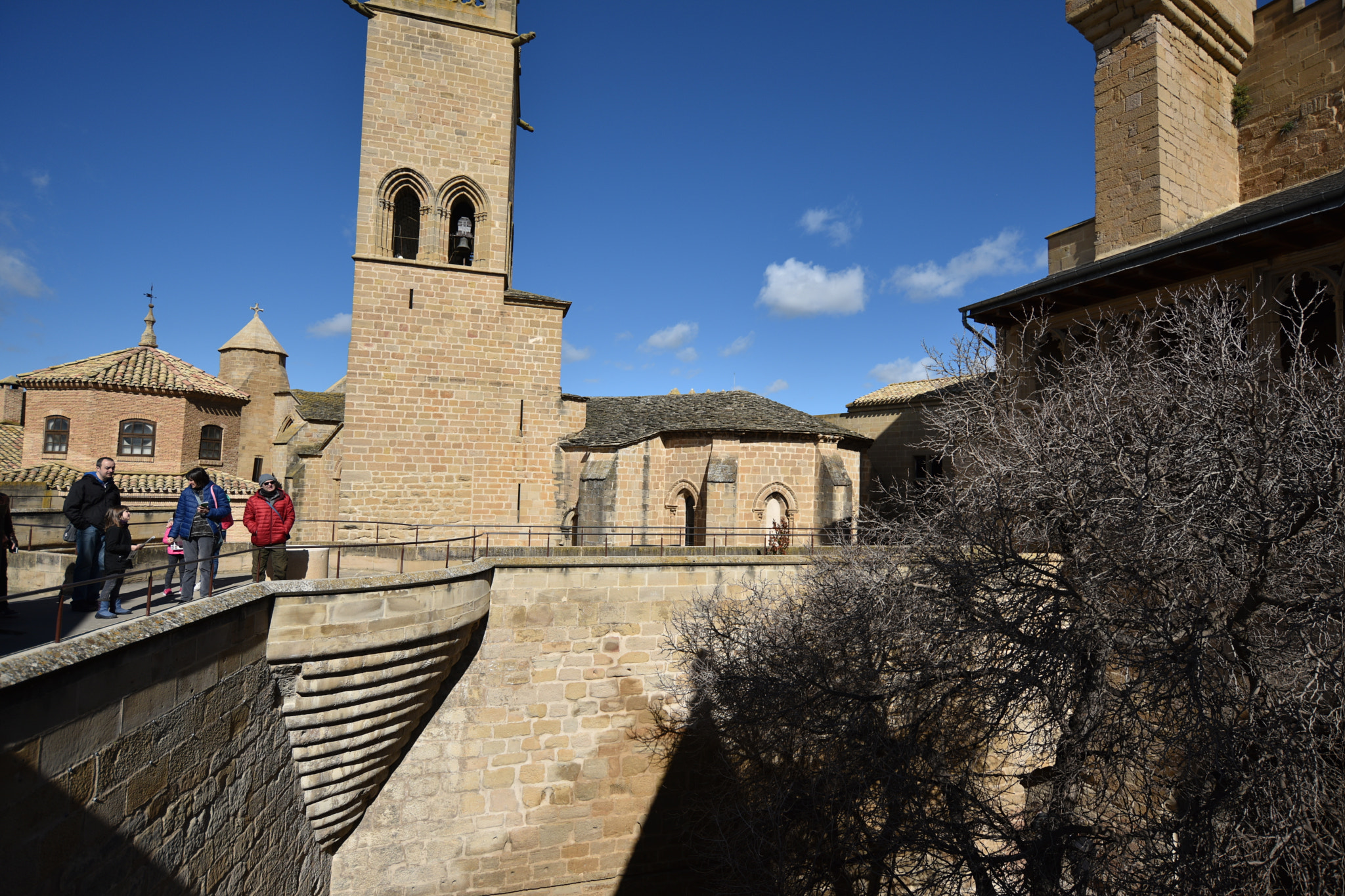 Nikon D810 + Nikon AF-S Nikkor 18-35mm F3.5-4.5G ED sample photo. Castillo de olite () photography